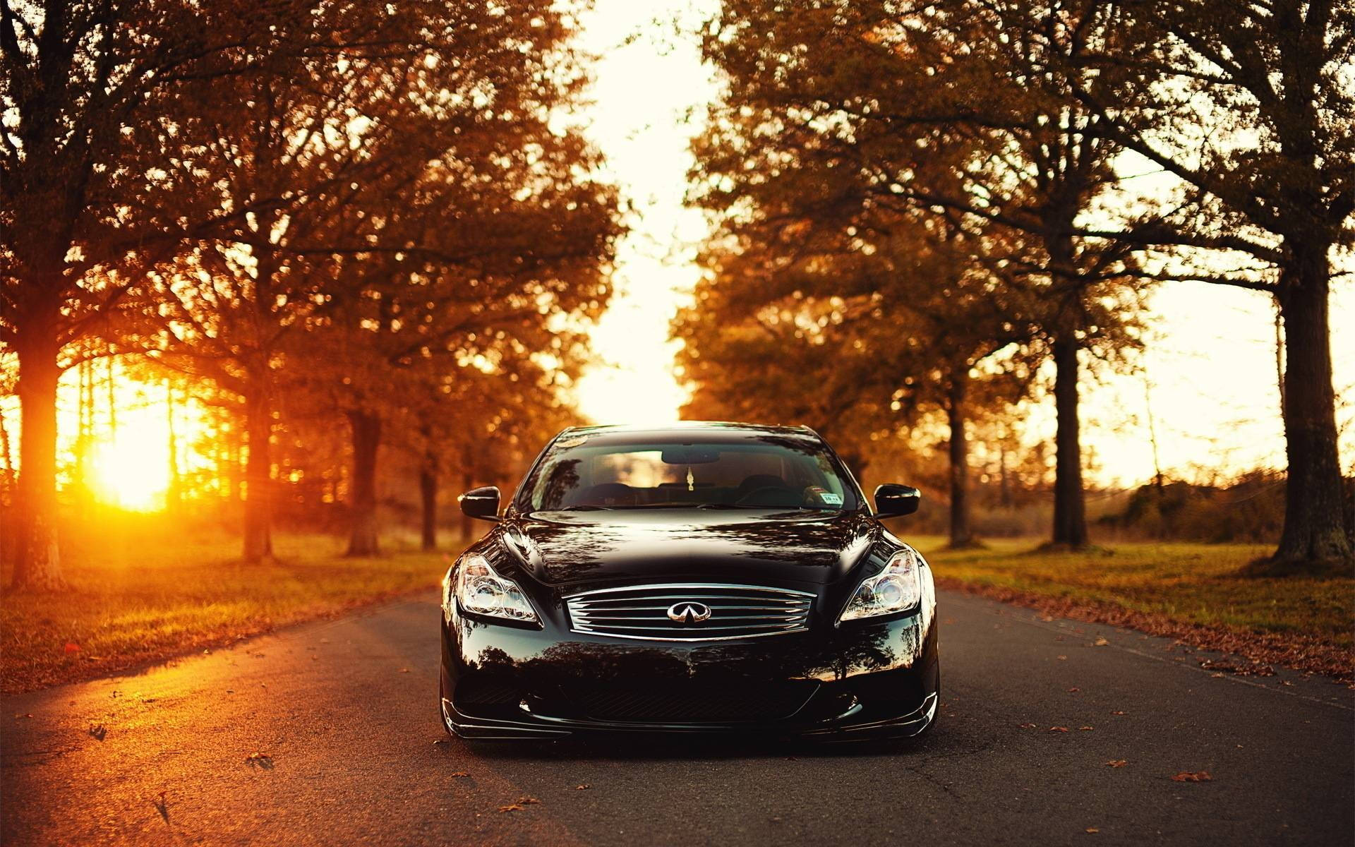 Infiniti 桌布 壁紙 — 一輛時尚的黑色豪華轎車在樹木成行的道路上向前行駛，沐浴在金色的日落光線中。