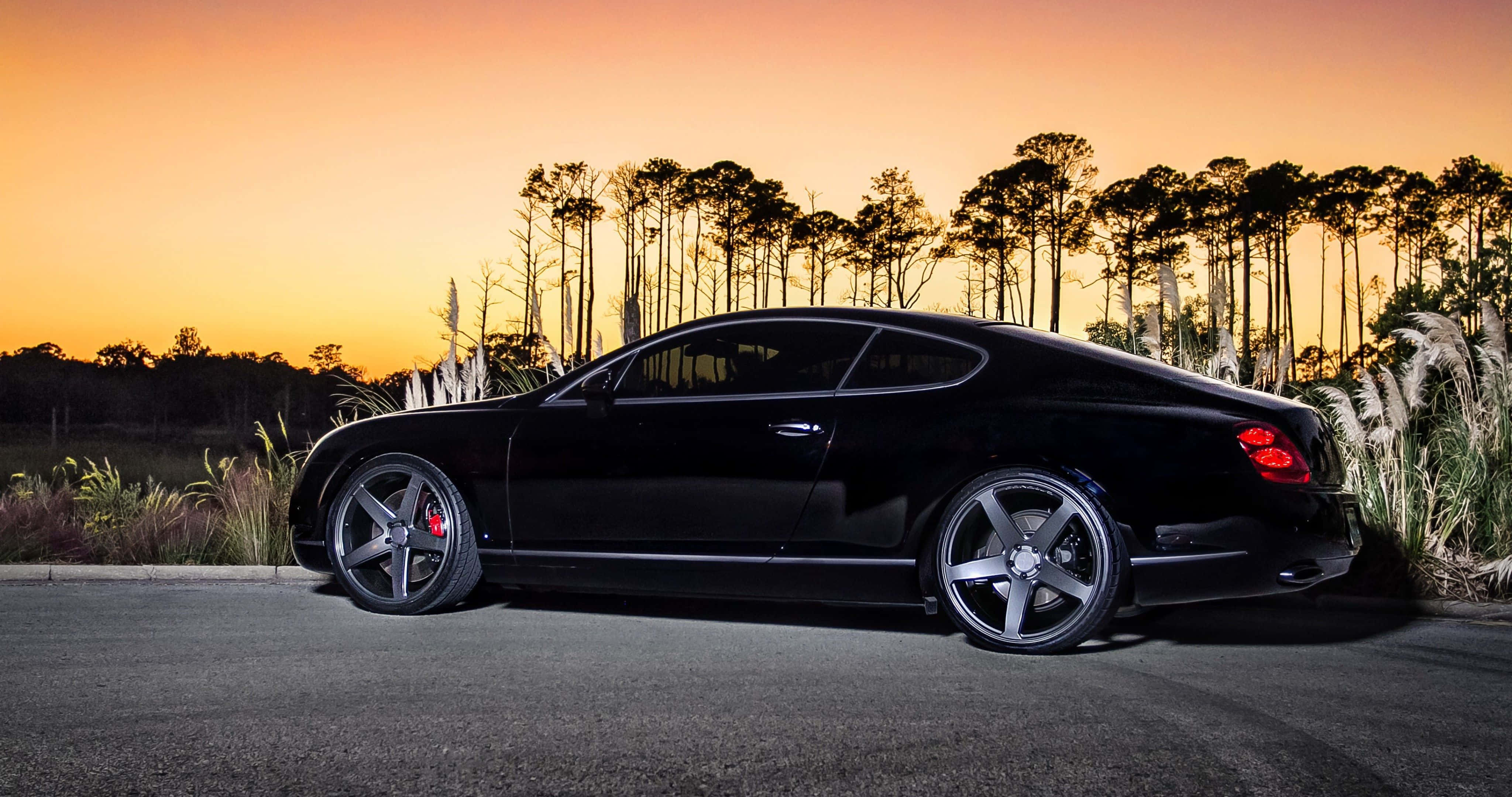 Best Bentley 桌布 壁紙 — 一輛時尚的黑色賓利 Continental GT 停在日落時分的柏油路上，背後是高草和樹木的剪影。