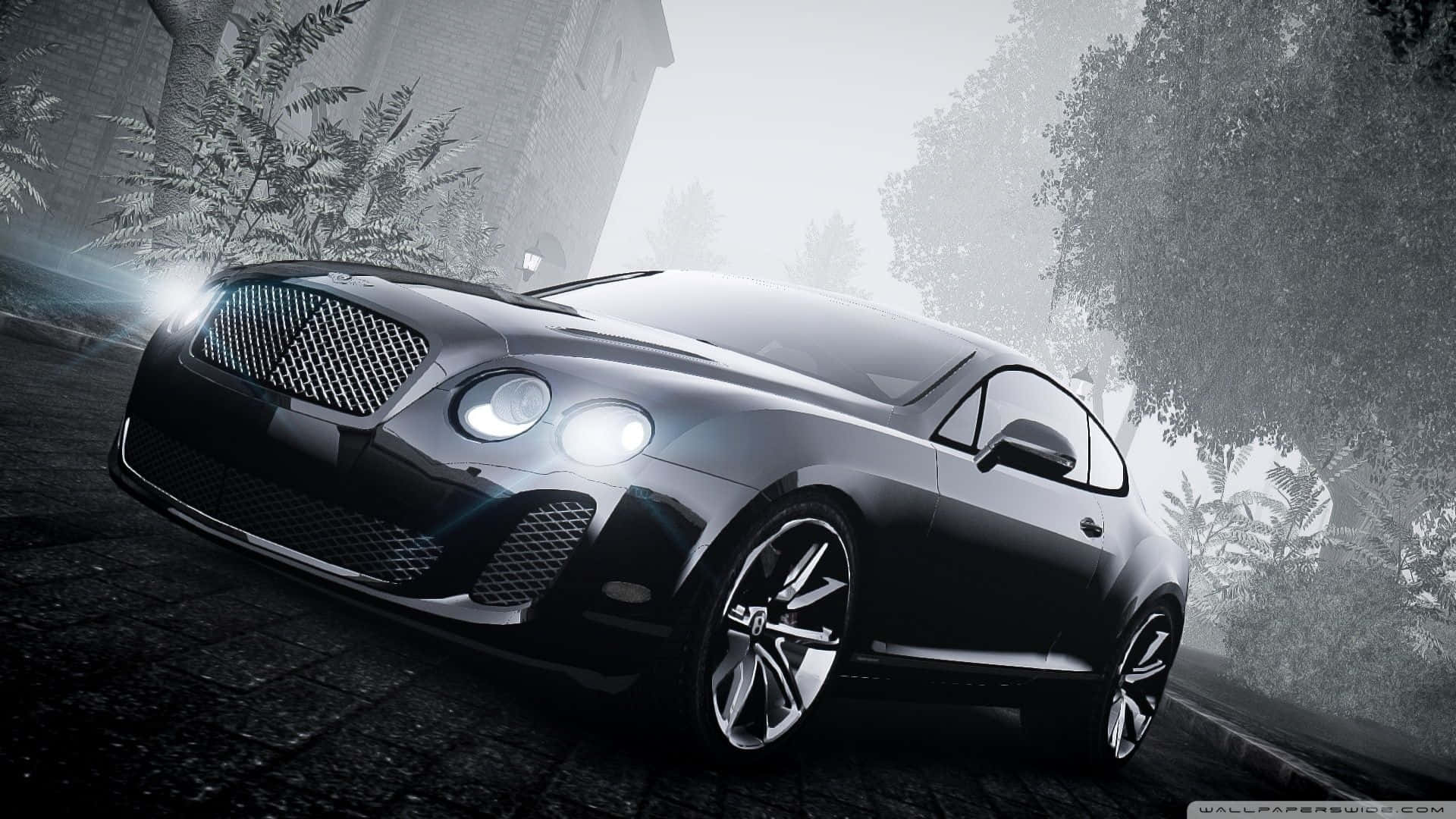 1366x768 Bentley 桌布 壁紙 — 一輛時尚的黑色賓利 Continental GT 在霧濛濛的黎明光線下，在兩旁綠樹成蔭的鵝卵石車道上閃閃發光。