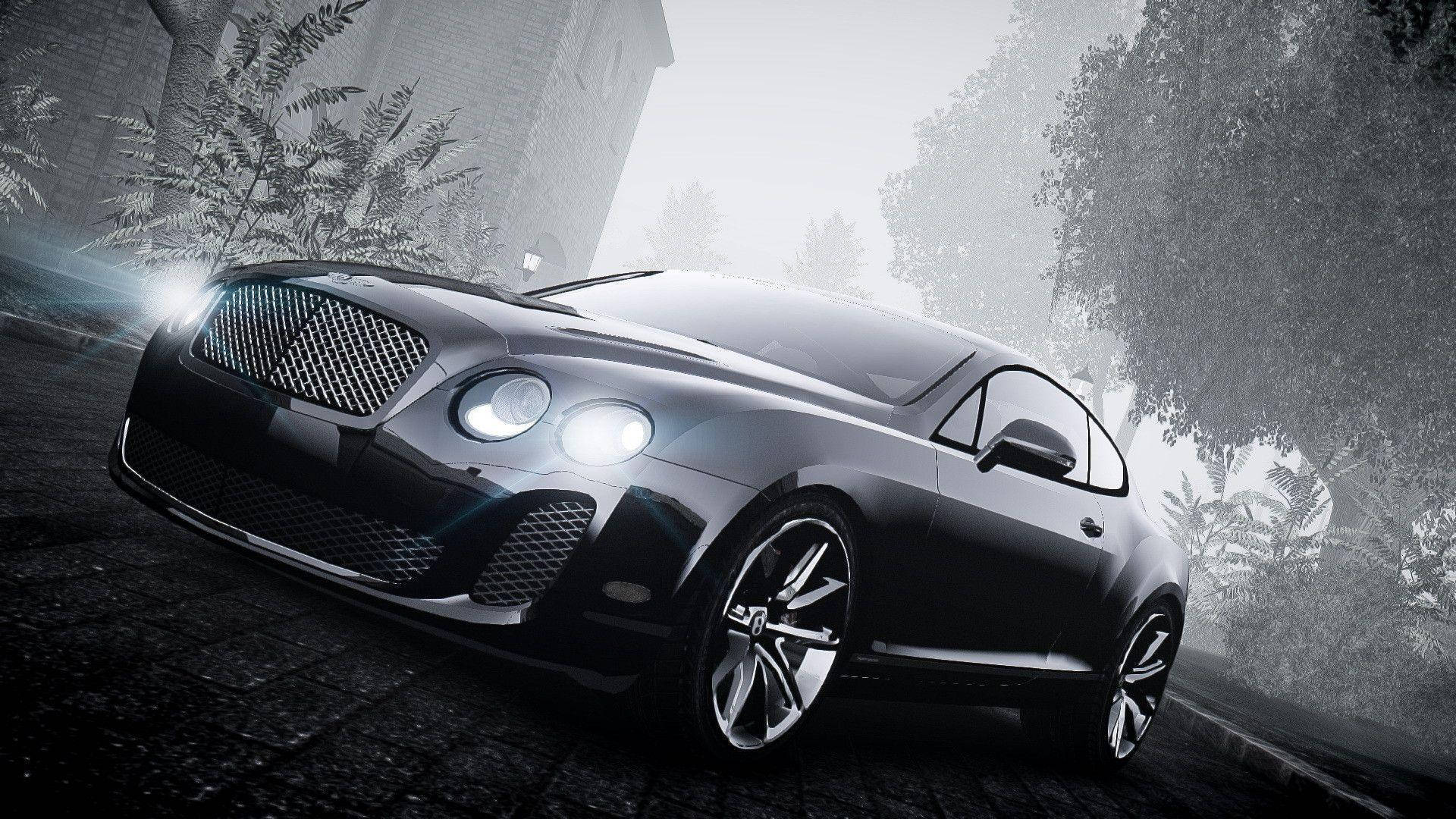 bentley HD 桌布 壁紙 — 一輛時尚的黑色賓利 Continental GT 在霧濛濛的黎明光線下，在兩旁種滿茂密樹木的鵝卵石車道上閃閃發光。