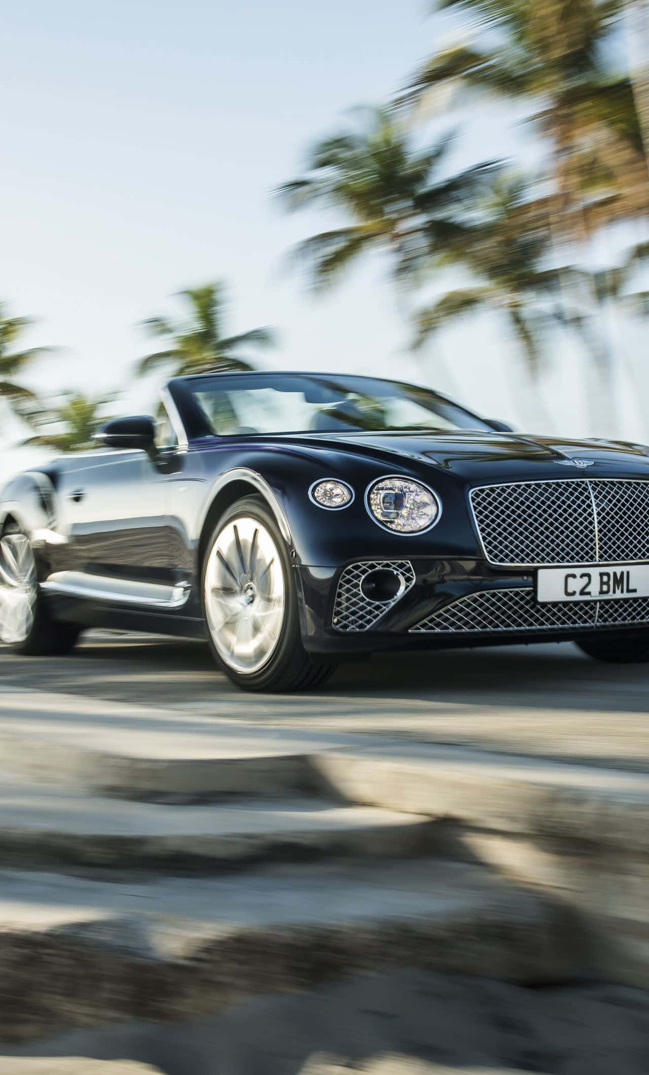 Bentley Continental Gt 桌布 壁紙 — 一輛時尚的黑色賓利敞篷車沿著海岸公路疾馳，背景中的棕櫚樹在明亮的日光下模糊不清。