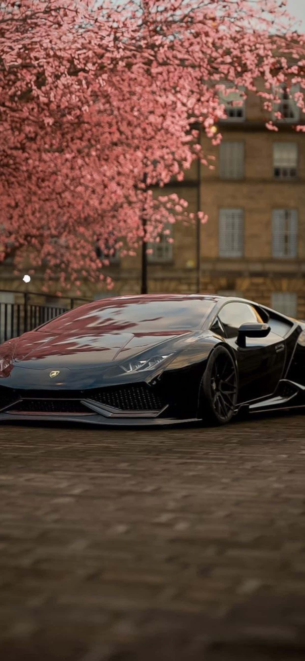 Lamborghini Phone 桌布 壁紙 — 一輛時尚的黑色跑車停泊在鵝卵石街道上，上方是盛開的粉紅色櫻花樹。