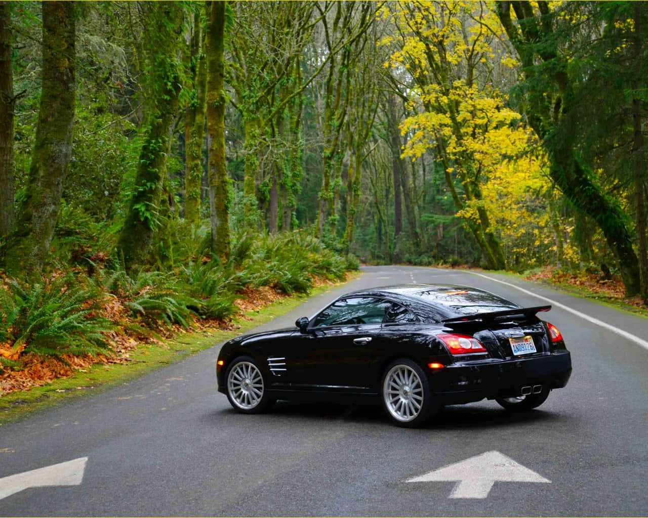Chrysler Crossfire 桌布 壁紙 — 一輛時尚的黑色跑車行駛在一條蜿蜒的森林道路上，兩旁長滿苔蘚的樹木和鮮豔的黃色樹葉。