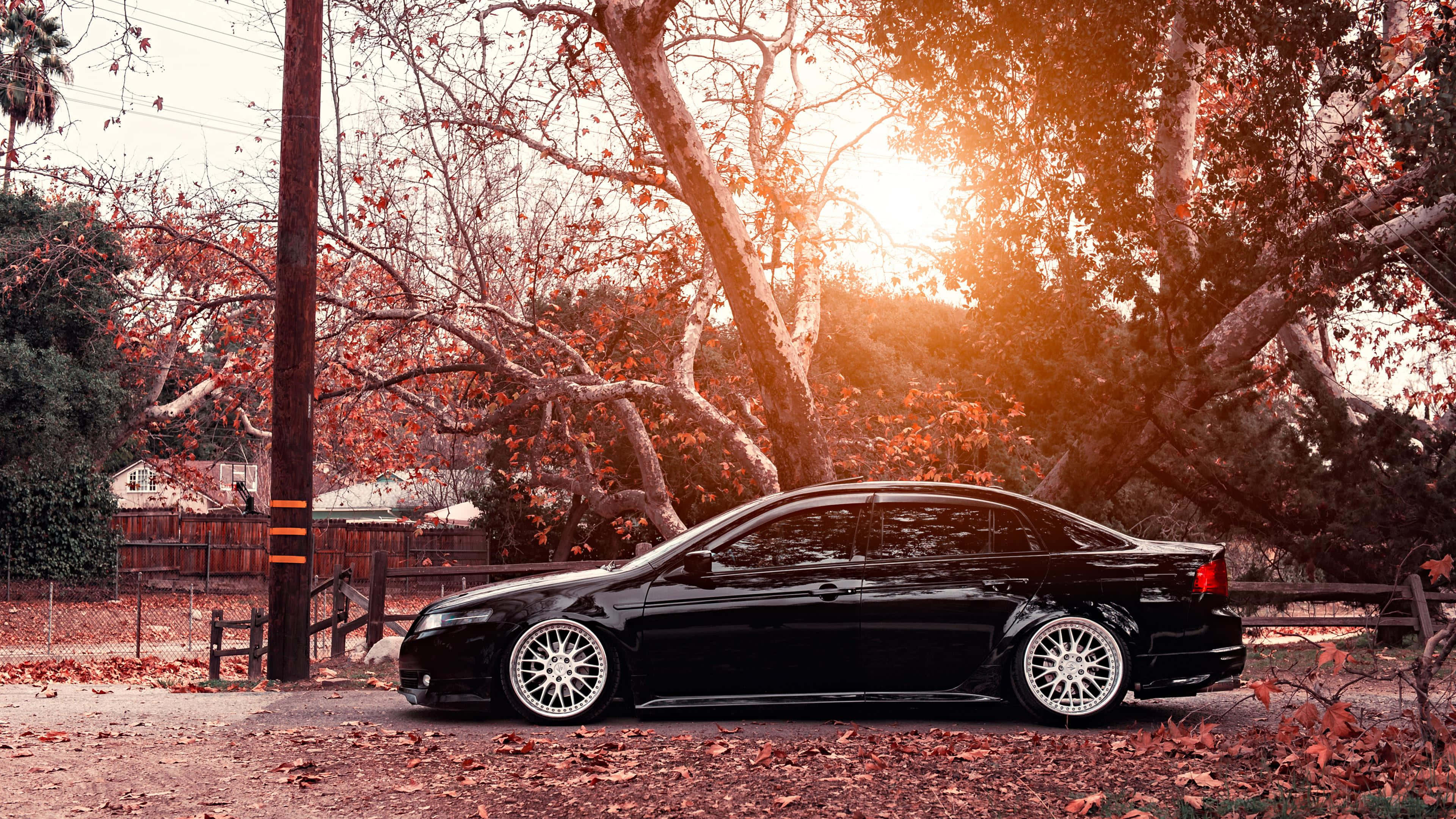 Acura Tsx 桌布 壁紙 — 一輛時尚的黑色轎車搭配白色輪圈，停在秋天的樹下，金色的陽光穿過落葉灑落。
