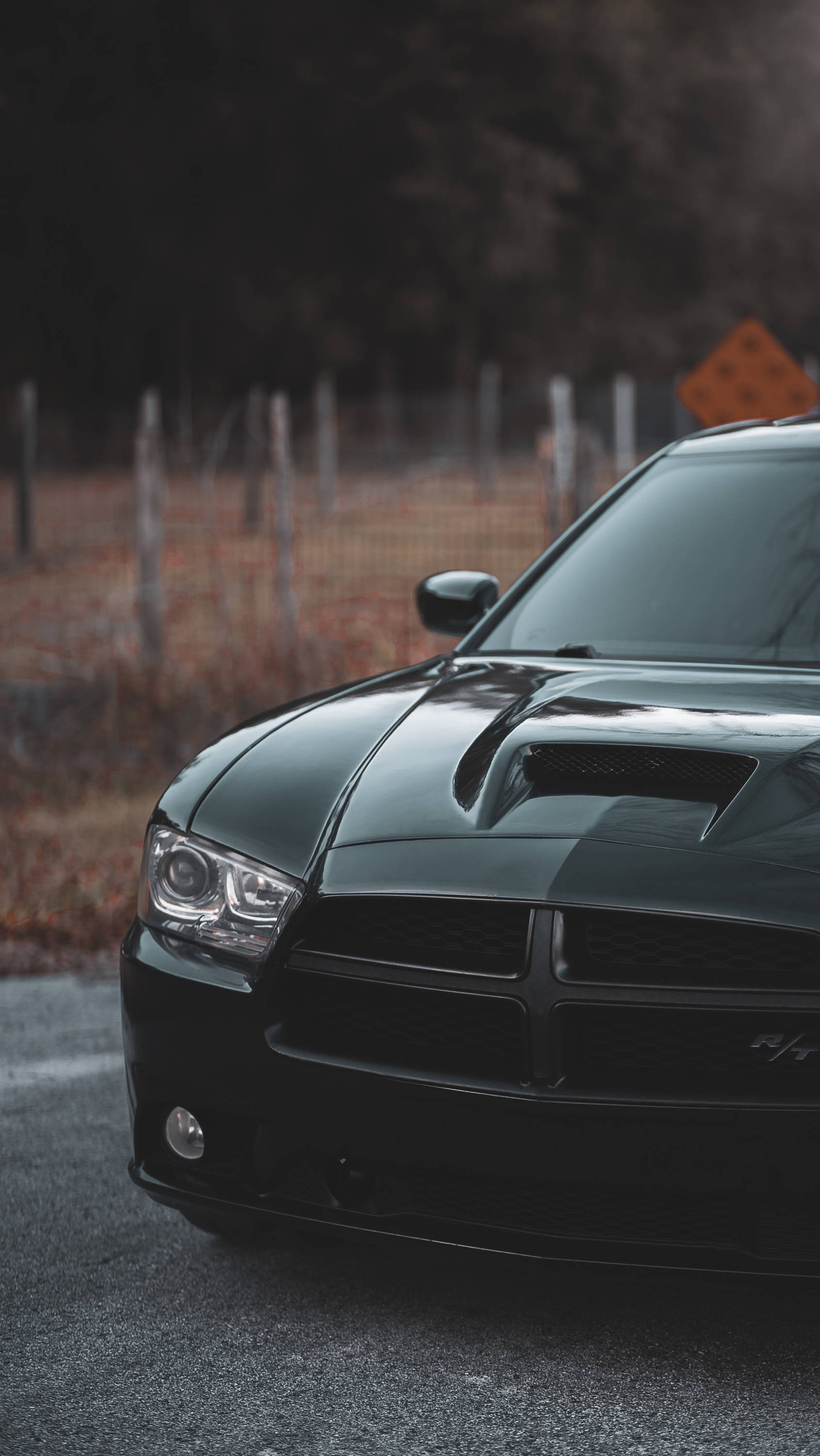 Challenger 桌布 壁紙 — 一輛時尚的黑色道奇挑戰者跑車停在碎石路上，背景是模糊的秋樹。