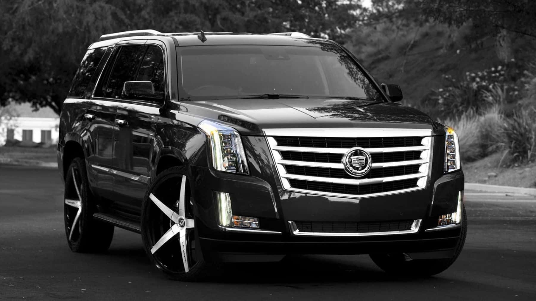 Cadillac Escalade 桌布 壁紙 — 一輛時尚黑色Cadillac SUV配備自訂車輪，停泊在背景有樹木的街道上。