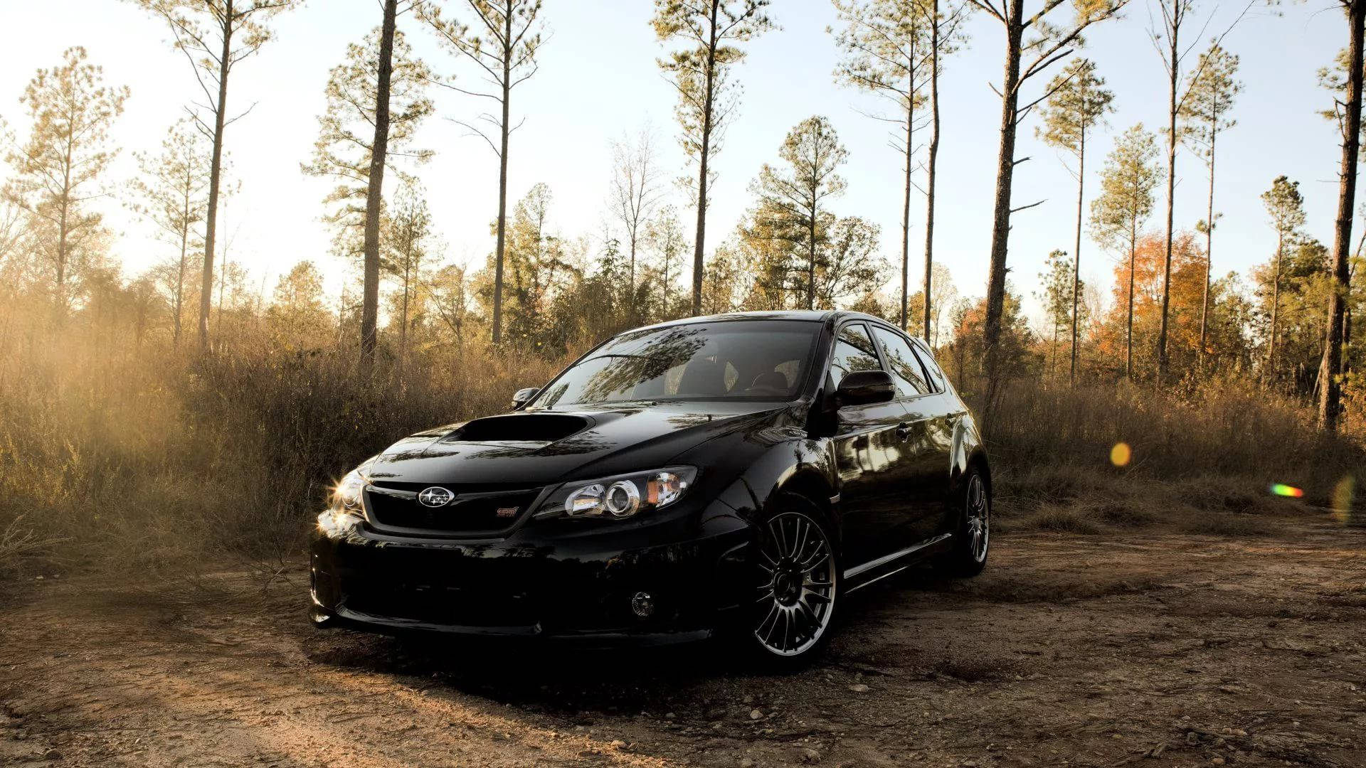 Subaru 桌布 壁紙 — 一輛時尚黑色Subaru WRX STI停放在陽光普照的秋日森林中的泥土小徑上，周圍是高聳的松樹。