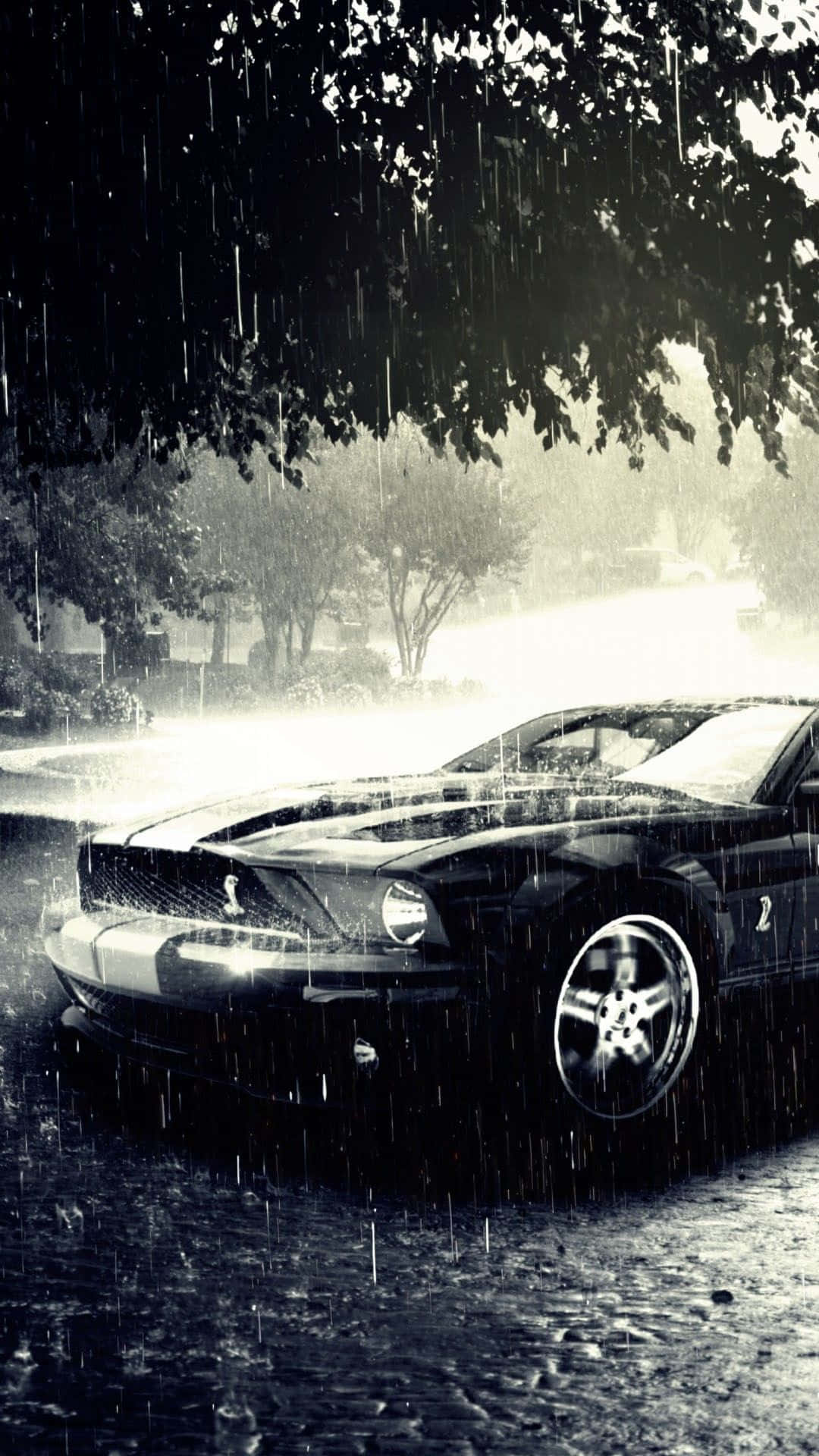 Mustang iPhone 桌布 壁紙 — 一輛時尚黑色肌肉車停泊在樹下，雨水猛烈地落在濕漉漉的路面和樹葉上。