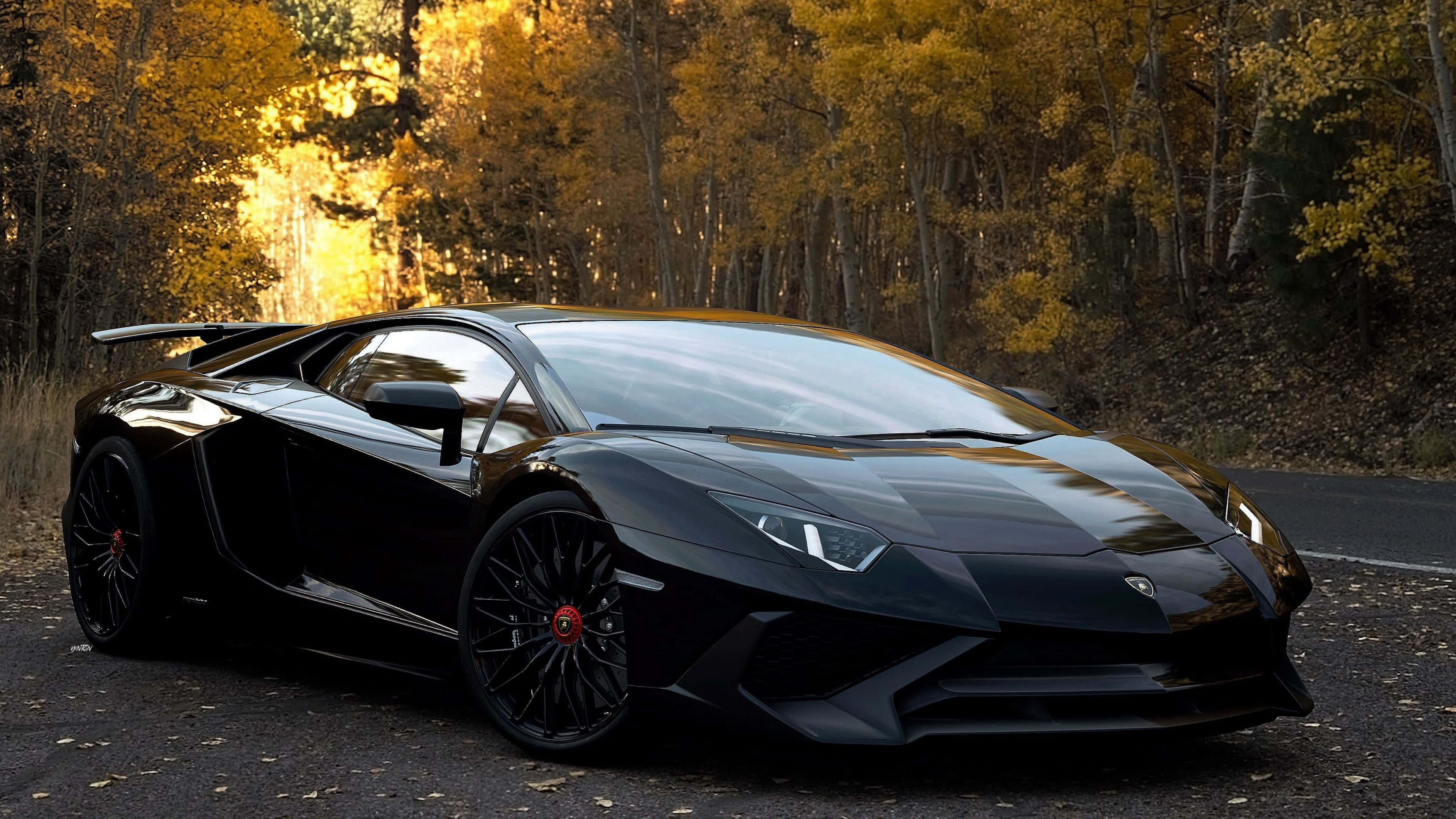 4K 藍寶堅尼 桌布 壁紙 — 一輛時尚黑色藍寶堅尼 Aventador 停放在森林道路上，周圍環繞著金黃色的秋樹。