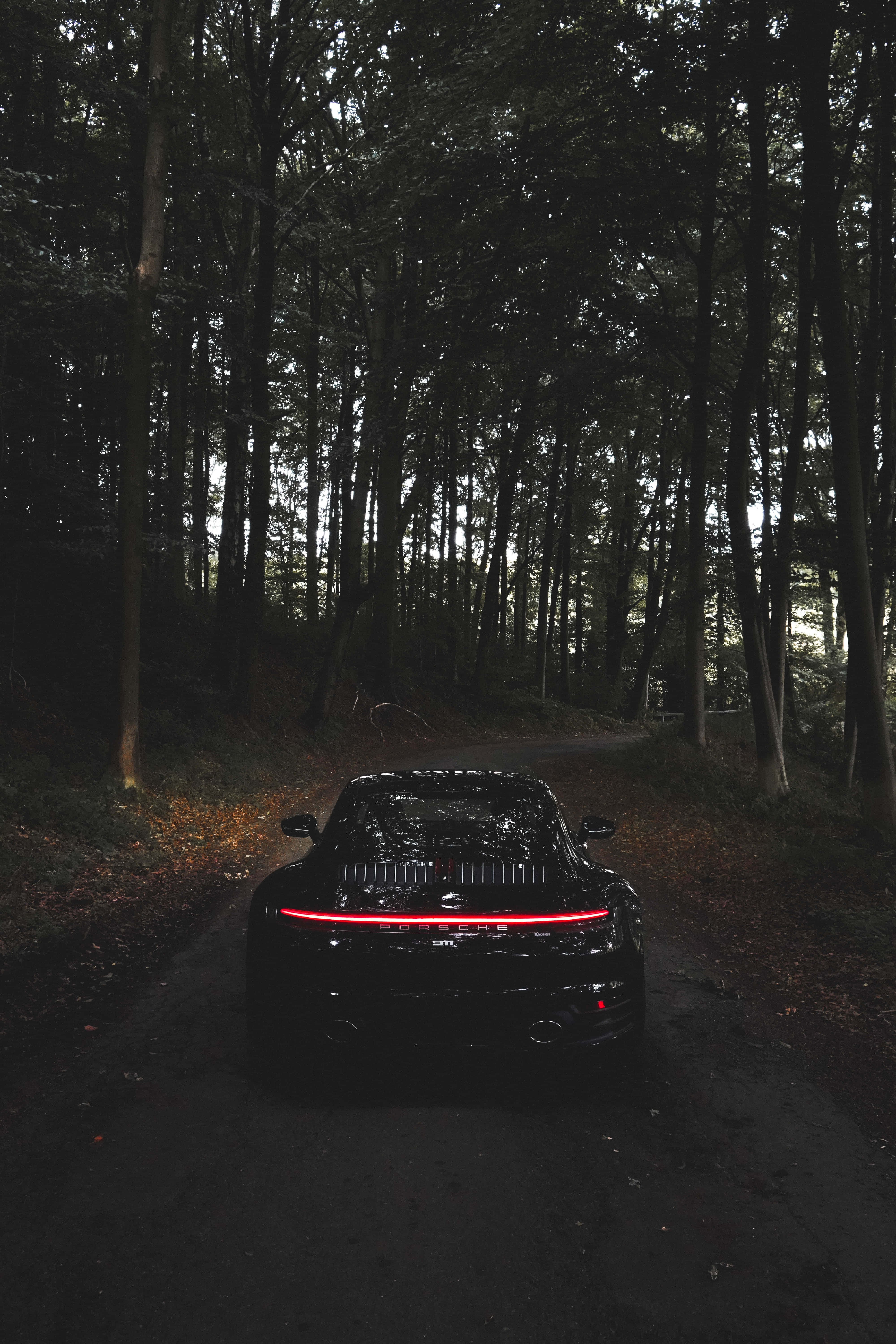 Road 桌布 壁紙 — 一輛時尚黑色跑車帶有發光的紅色尾燈，停泊在昏暗光線中、被高大樹木環繞的森林道路上。