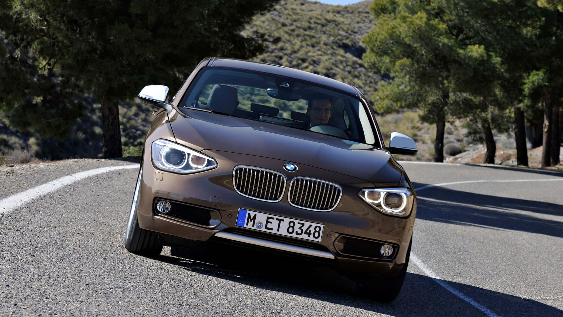 1920x1080 M Series 桌布 壁紙 — 一輛棕色BMW轎車在明亮的日光下行駛在一條蜿蜒的林蔭大道上。