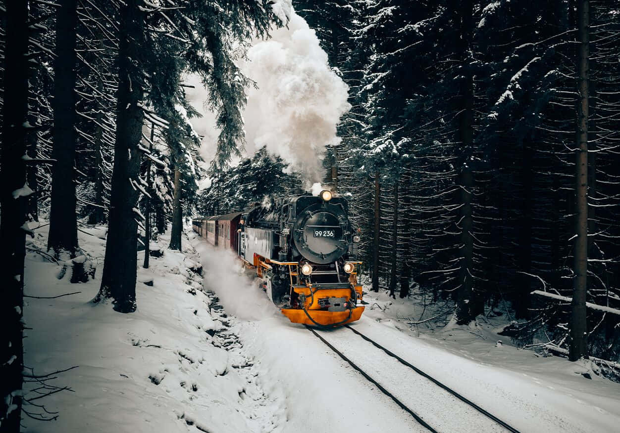 Hogwarts Express 桌布 壁紙 — 一輛橙色前身的復古蒸汽火車穿過白雪覆蓋的松樹林，噴出濃厚的白煙。