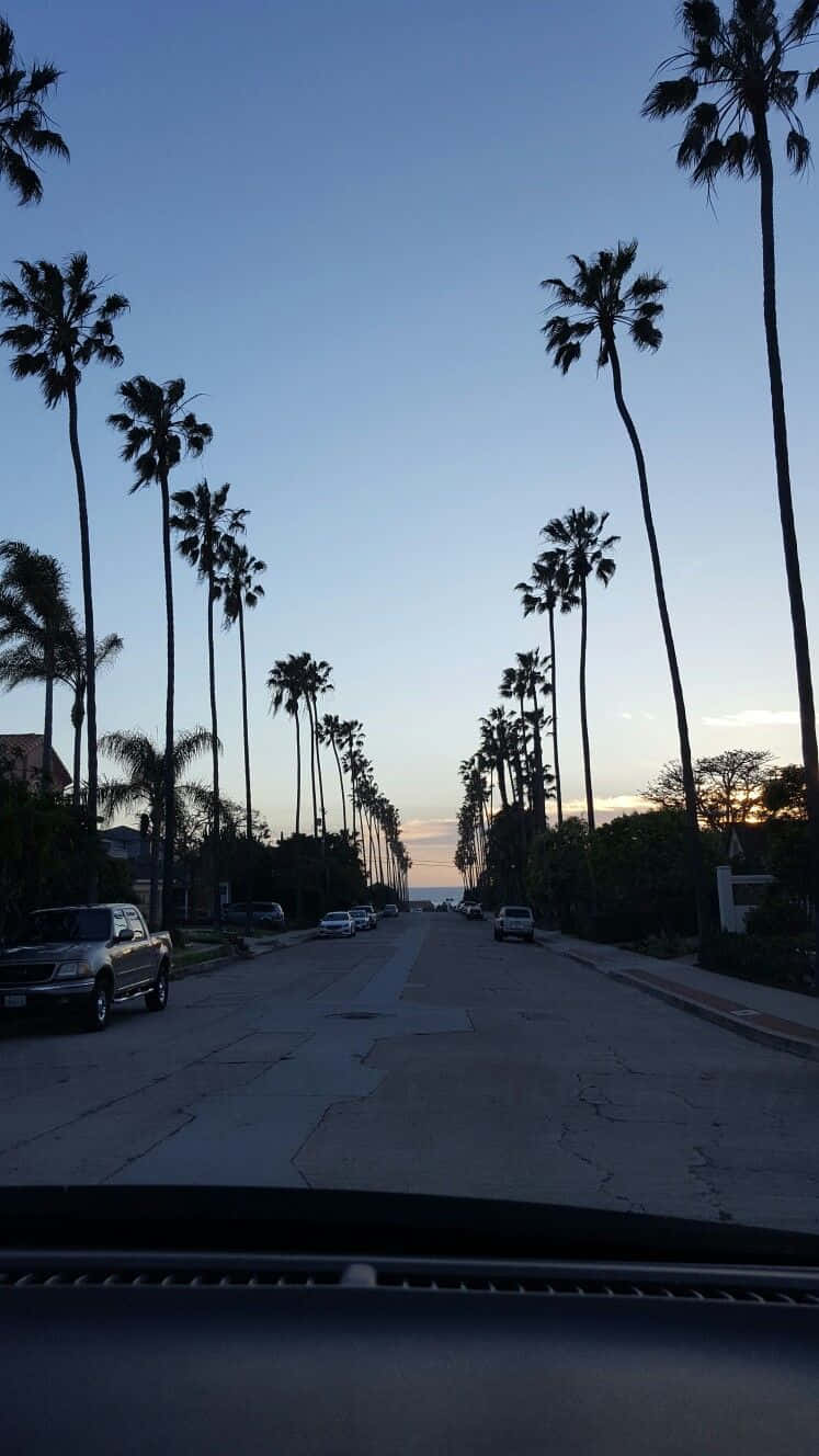 Pixel 3 California 桌布 壁紙 — 一輛汽車在黃昏時分行駛在一條棕櫚樹成蔭的街道上，清澈的藍天在接近地平線處漸變成橙色。