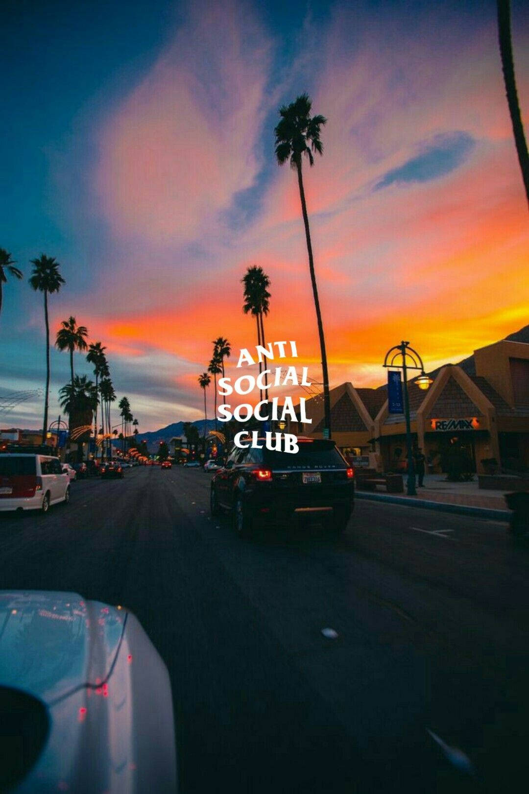 club 桌布 壁紙 — 一輛汽車沿著棕櫚樹成蔭的街道行駛，夕陽將天空染成橙色、粉紅色和紫色。