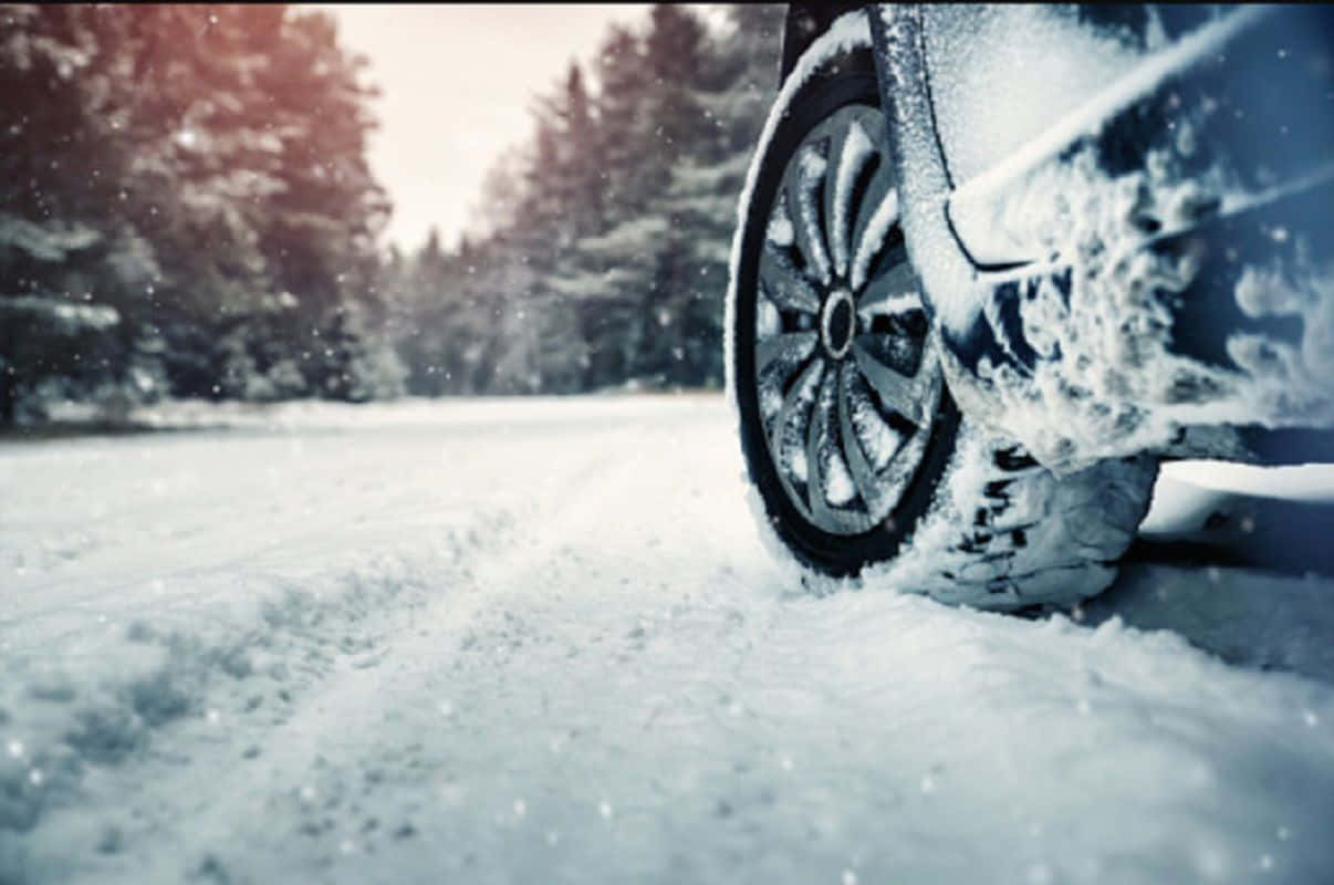 Winter Tires 桌布 壁紙 — 一輛汽車的雪地輪胎在駛過白雪覆蓋樹木的冬季森林時揚起雪粉。