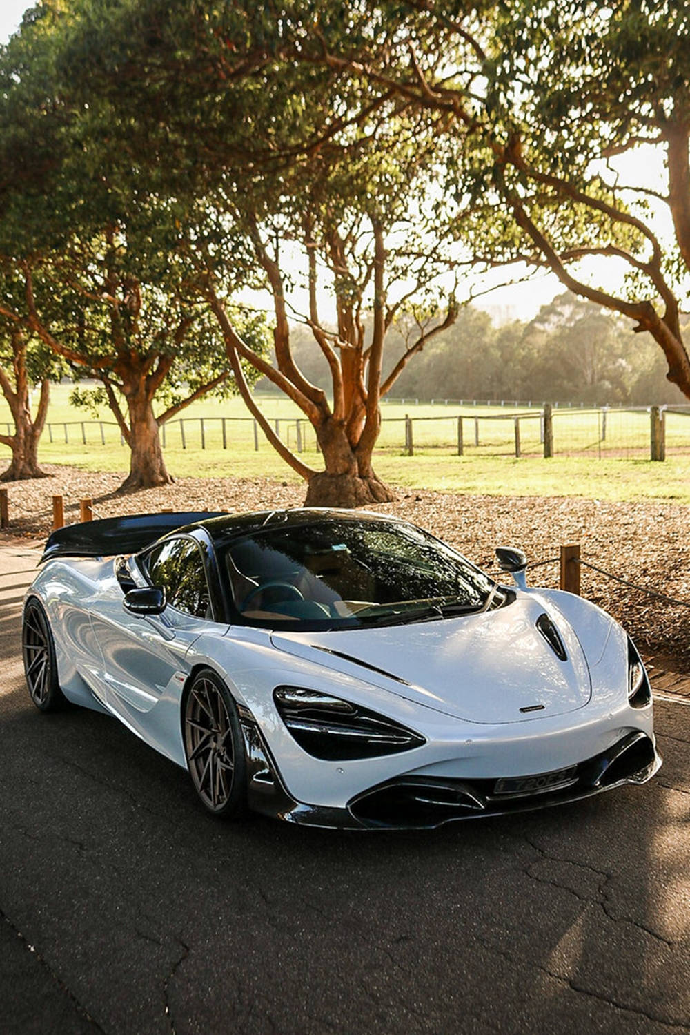 跑車 桌布 壁紙 — 一輛流線型白色McLaren跑車在金色陽光下閃耀，停放在寧靜鄉村環境中枝葉茂密的樹木下。