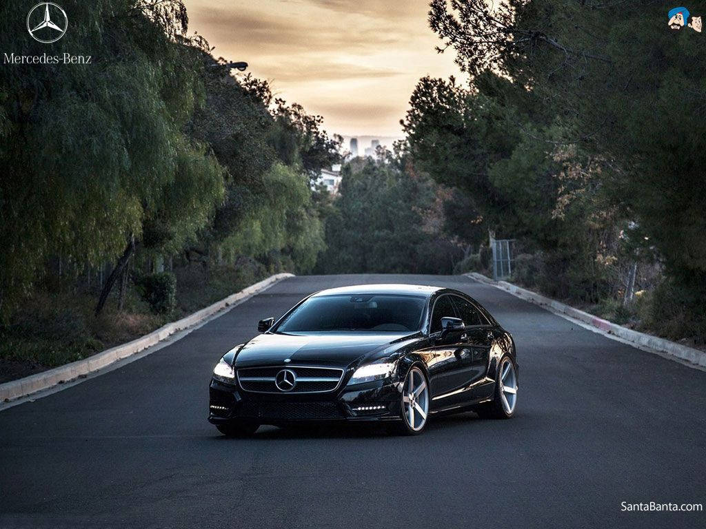 Mercedes 桌布 壁紙 — 一輛流線型的黑色賓士轎車在黃金時段沿著蜿蜒的林蔭大道行駛，柔和的光線穿過樹葉灑落。