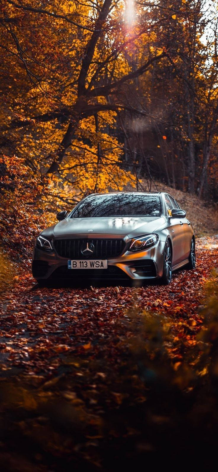 X 桌布 壁紙 — 一輛流線型銀色 Mercedes 房車停泊在鋪滿落葉的森林道路上，沐浴在透過光禿樹枝灑落的金色秋日陽光中。