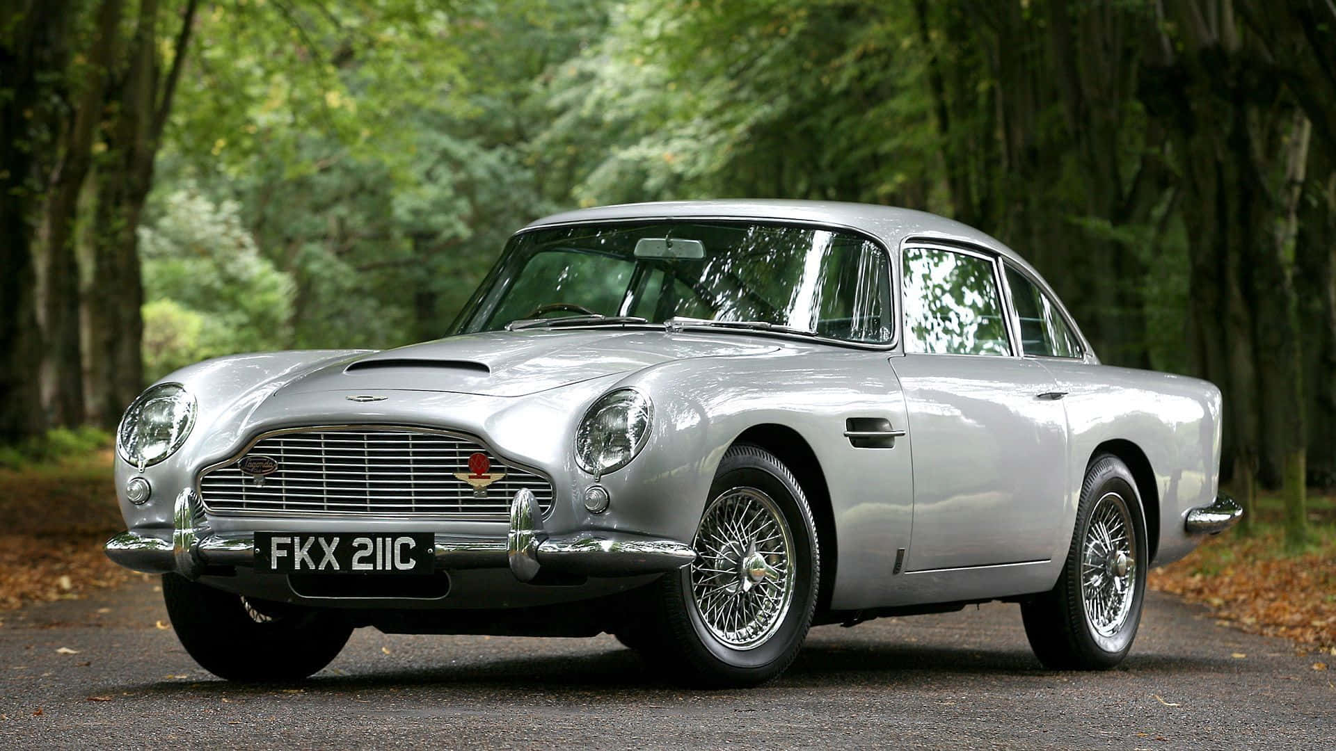Aston Martin Db5 桌布 壁紙 — 一輛流線型銀色Aston Martin DB5在自然光下閃閃發光，停泊在樹林環繞、滿地落葉的道路上。