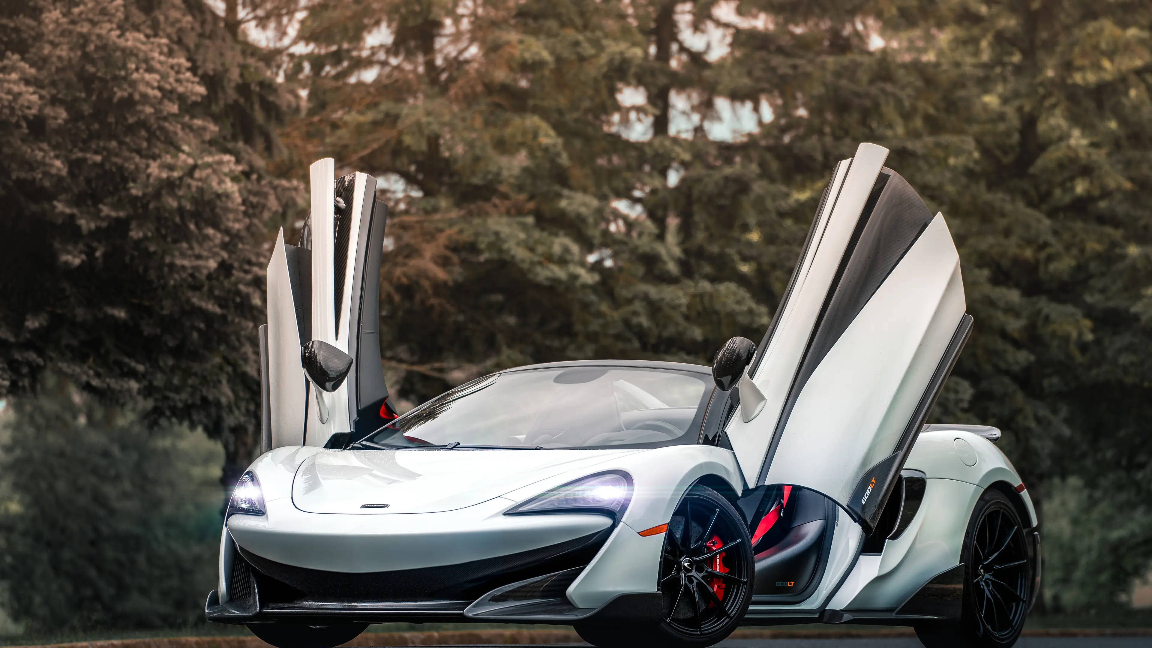 跑車 桌布 壁紙 — 一輛流線型銀色McLaren跑車，鷗翼車門打開，停在森林環繞的道路上。