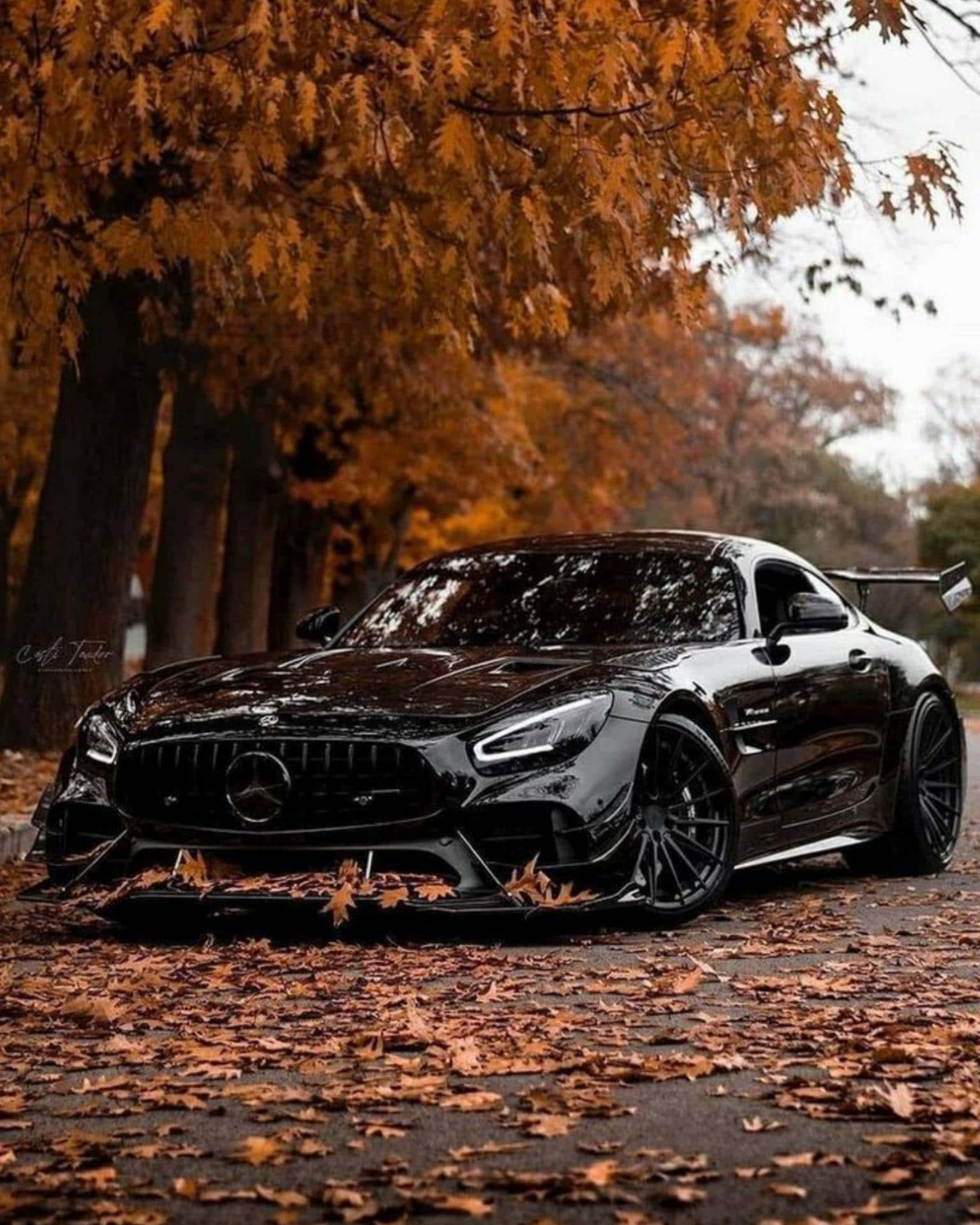 汽車 桌布 壁紙 — 一輛流線型黑色 Mercedes-AMG GT 停泊在金黃色的秋樹下，落葉覆蓋地面。