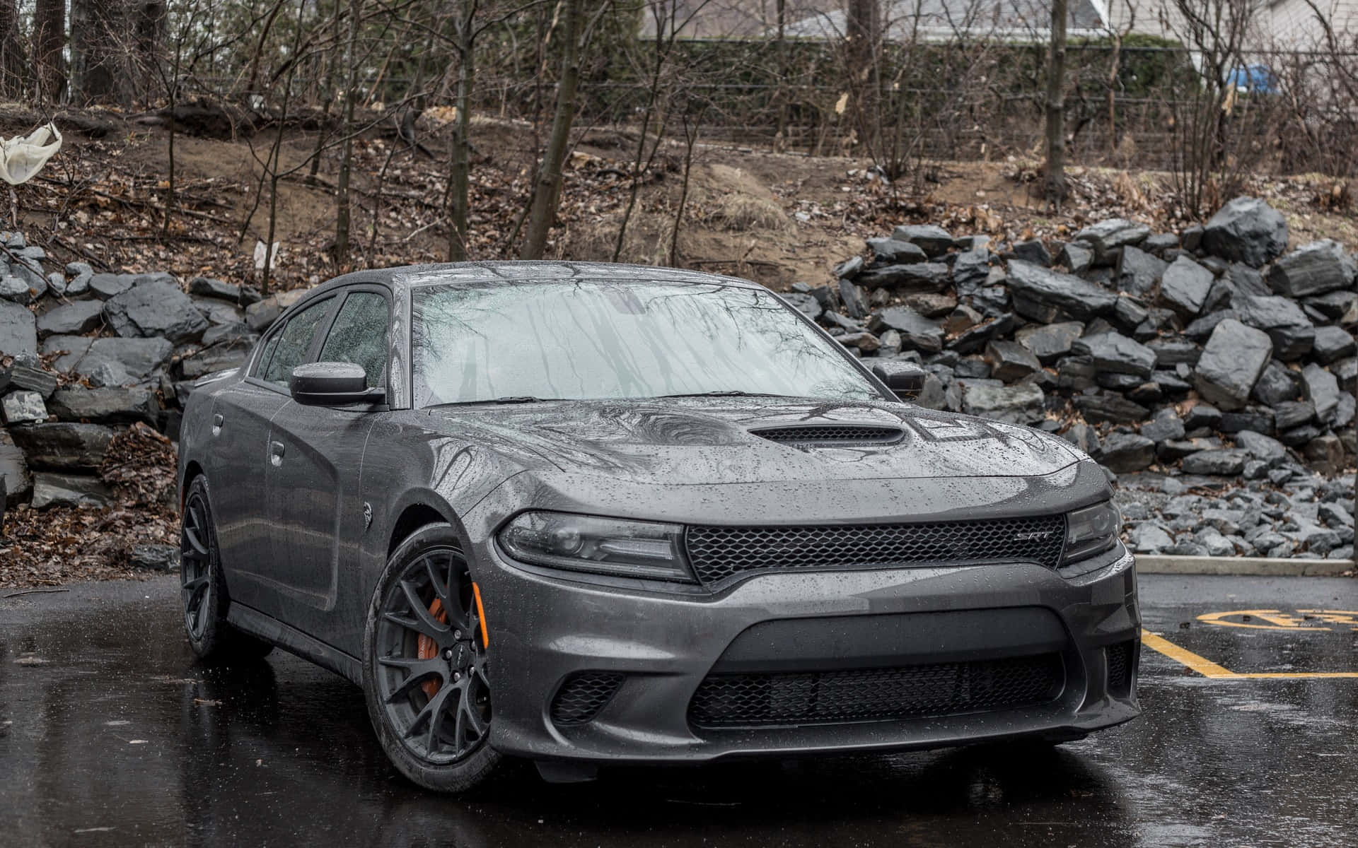 Scat Pack 桌布 壁紙 — 一輛消光灰色的 Dodge Charger 停在濕漉漉的路面上，旁邊是石牆，背景有光禿禿的樹木。
