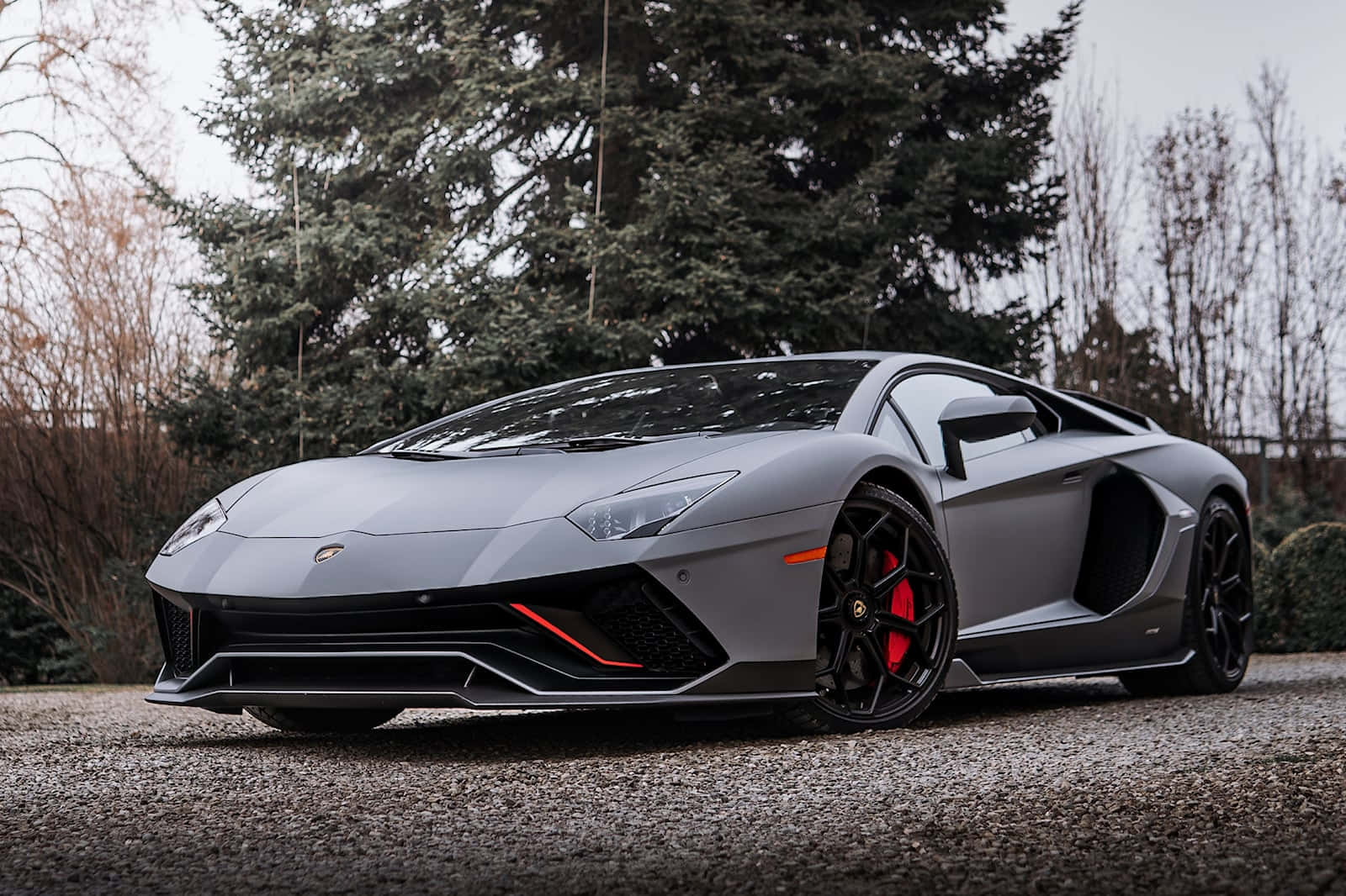 Supercar 桌布 壁紙 — 一輛消光灰色的藍寶堅尼 Aventador 配備紅色煞車卡鉗，停在碎石路上，旁邊有常綠樹。
