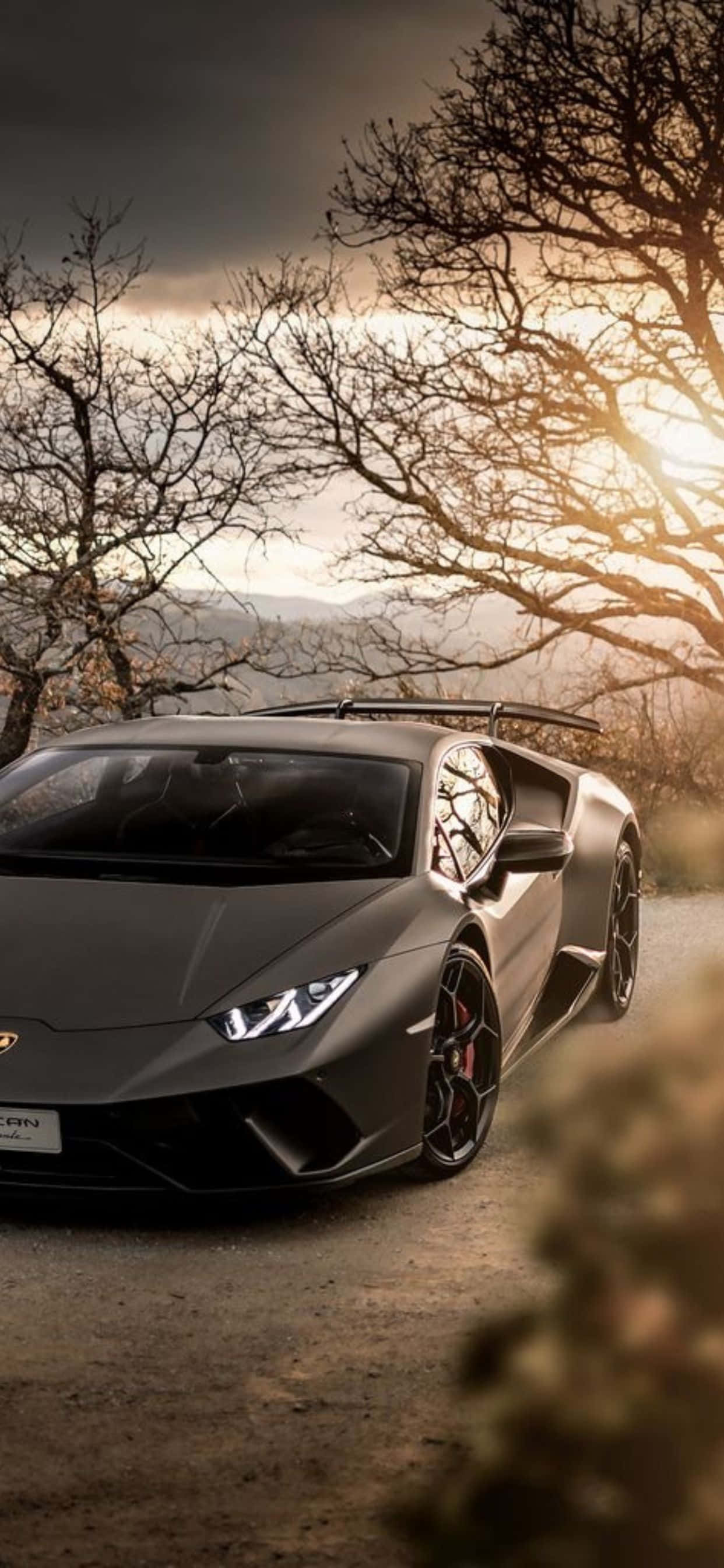 Lamborghini Phone 桌布 壁紙 — 一輛消光灰色的藍寶堅尼Huracan停泊在泥路上，樹木光禿，金色夕陽光線穿過樹枝。