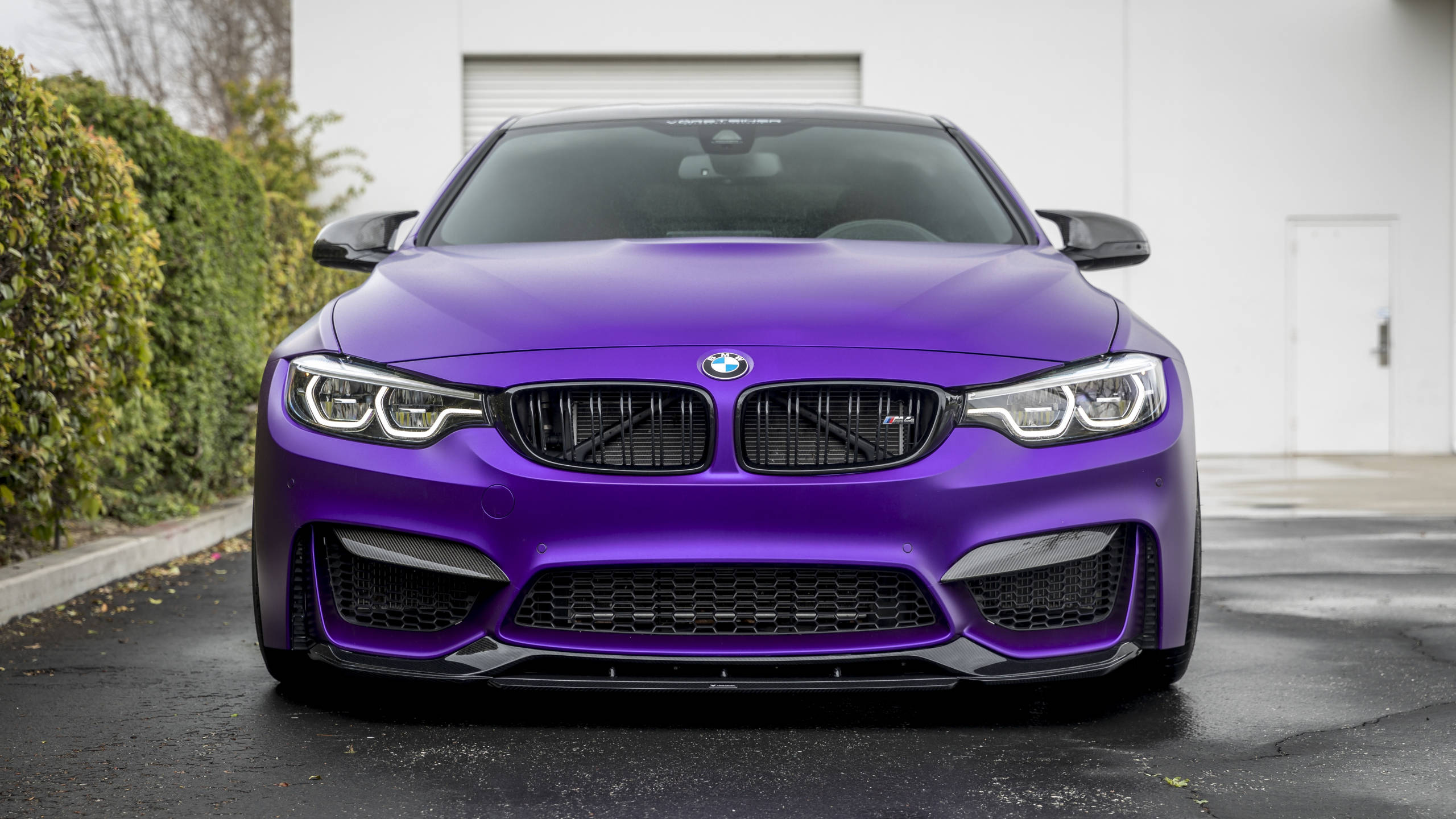 Violet 桌布 壁紙 — 一輛消光紫色BMW M4雙門跑車停在潮濕的路面上，背景有綠色樹籬和白色建築物。