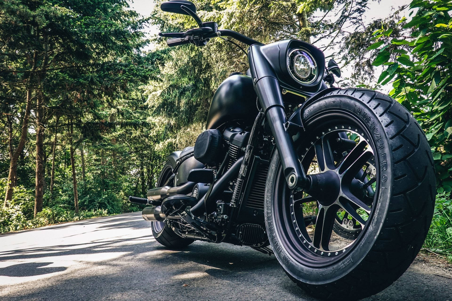 Harley 桌布 壁紙 — 一輛消光黑色巡航機車停在陽光斑駁的森林道路上，周圍是高聳的綠樹。