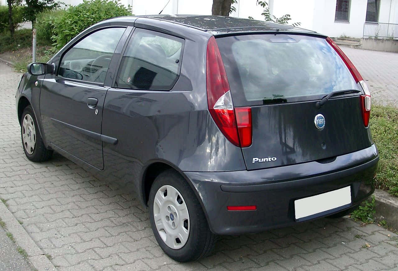 Fiat Punto 桌布 壁紙 — 一輛深灰色的Fiat Punto掀背車停在磚砌車道上，背景有綠色植物和白色建築物。