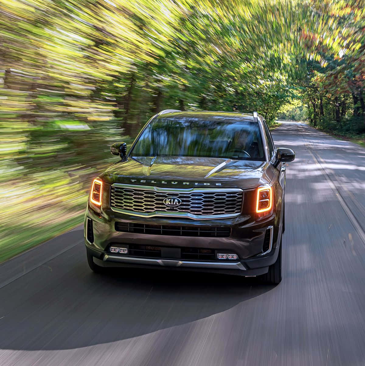 Kia Telluride 桌布 壁紙 — 一輛深綠色Kia Telluride SUV在綠樹成蔭的道路上高速行駛，動態模糊傳達出快速移動的感覺。