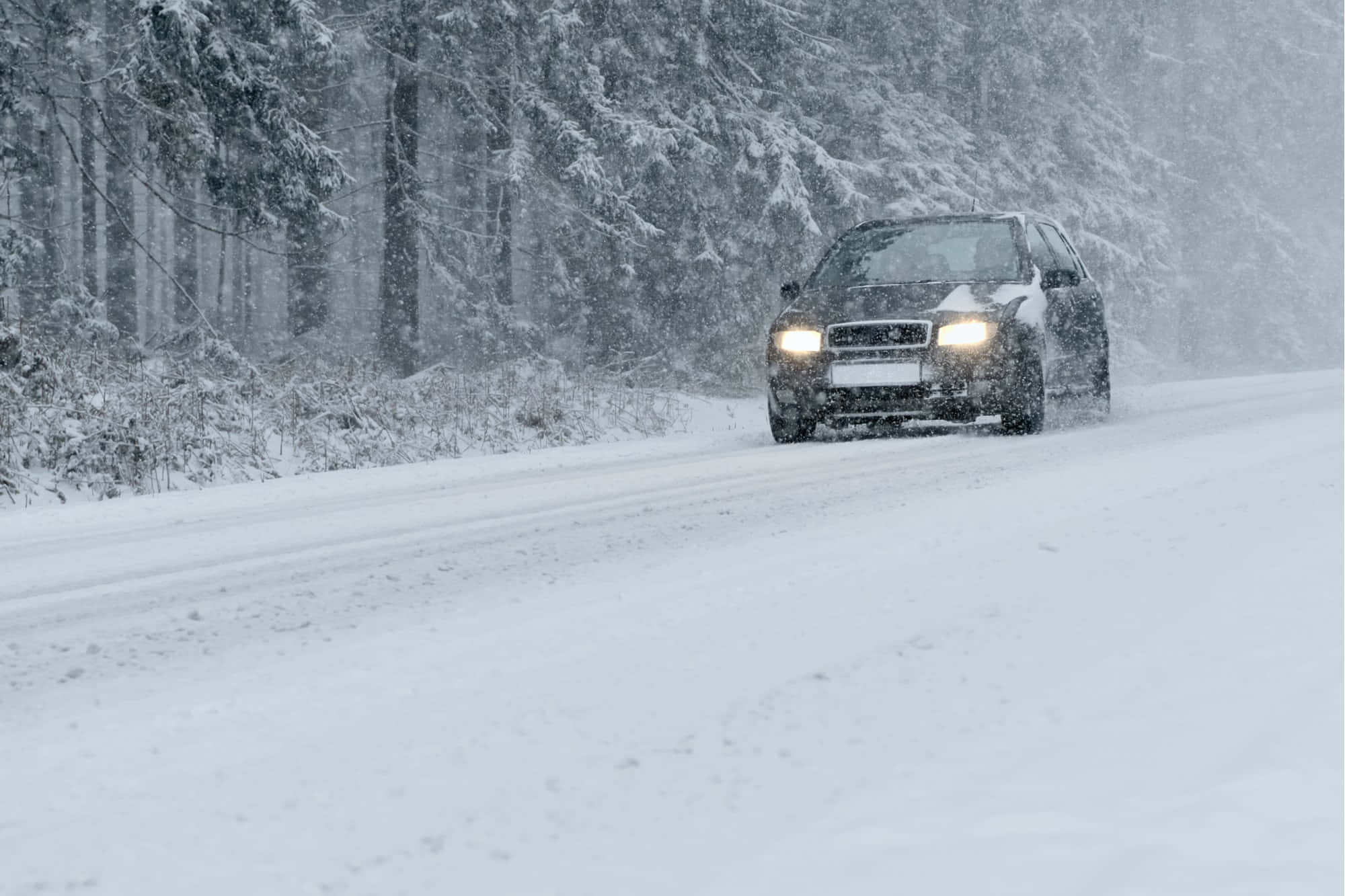 Winter Driving 桌布 壁紙 — 一輛深色SUV在森林道路上穿過一場猛烈的暴風雪，道路兩旁是積雪覆蓋的樹木。