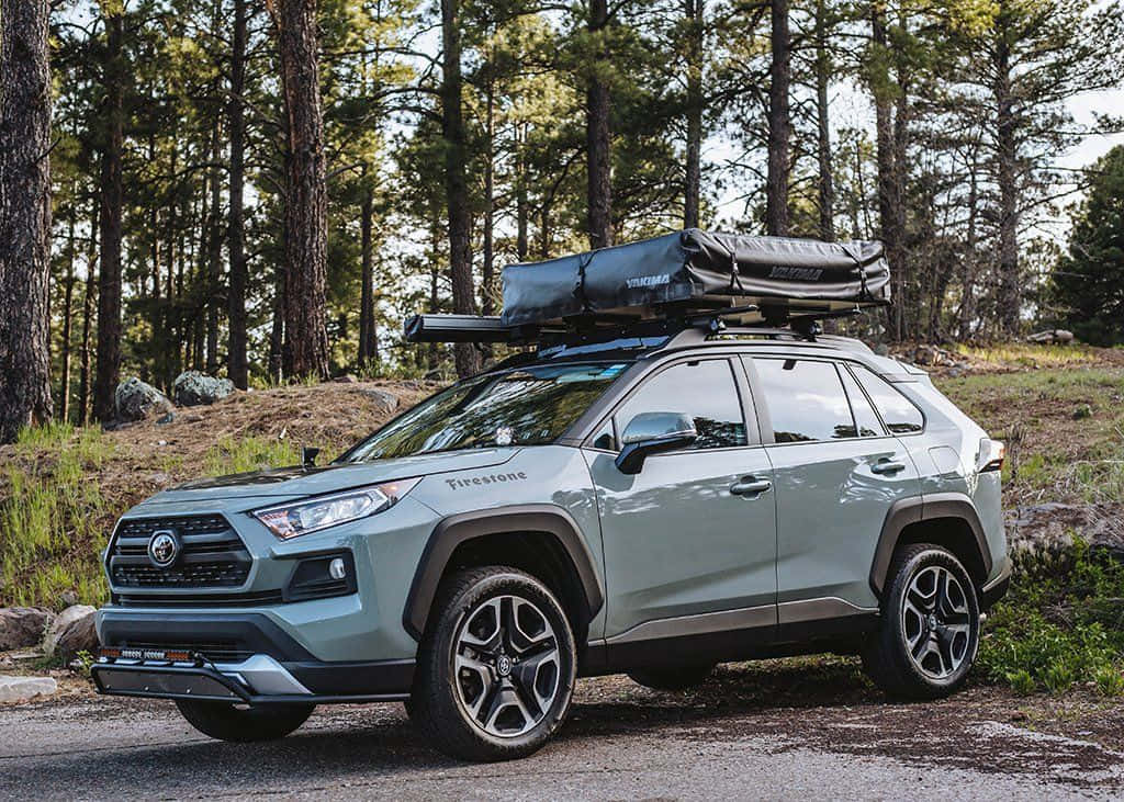 Family Car 桌布 壁紙 — 一輛淺綠色豐田RAV4 SUV，配備車頂帳篷和行李架，停泊在茂密松樹林的碎石路上。