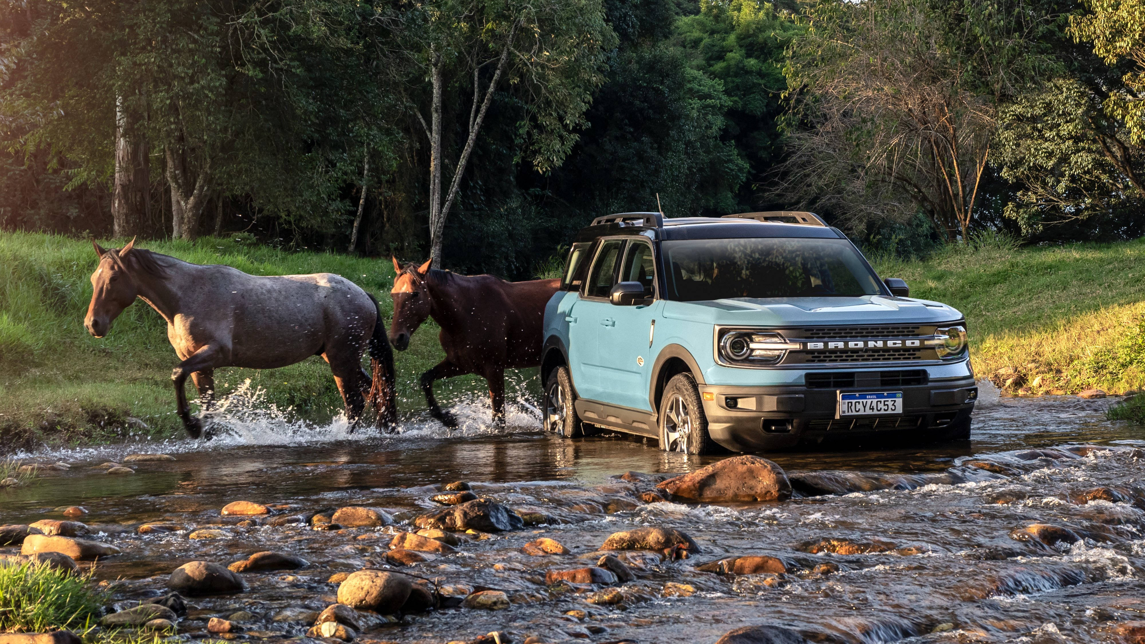 Ford Bronco 桌布 壁紙 — 一輛淺藍色的福特Bronco駛過一條岩石溪流，兩匹馬在陽光明媚的森林中在旁邊濺起水花。