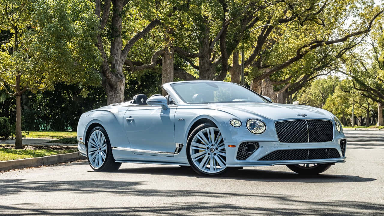 Bentley Continental Gt Convertible 桌布 壁紙 — 一輛淺藍色賓利敞篷車停放在陽光普照的林蔭大道上。