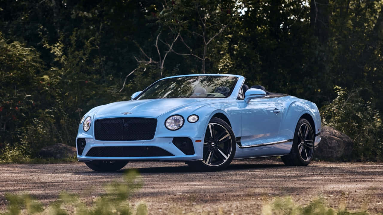 Bentley Continental Gt Convertible 桌布 壁紙 — 一輛淺藍色賓利敞篷車停泊在碎石路上，周圍是茂密的綠樹。