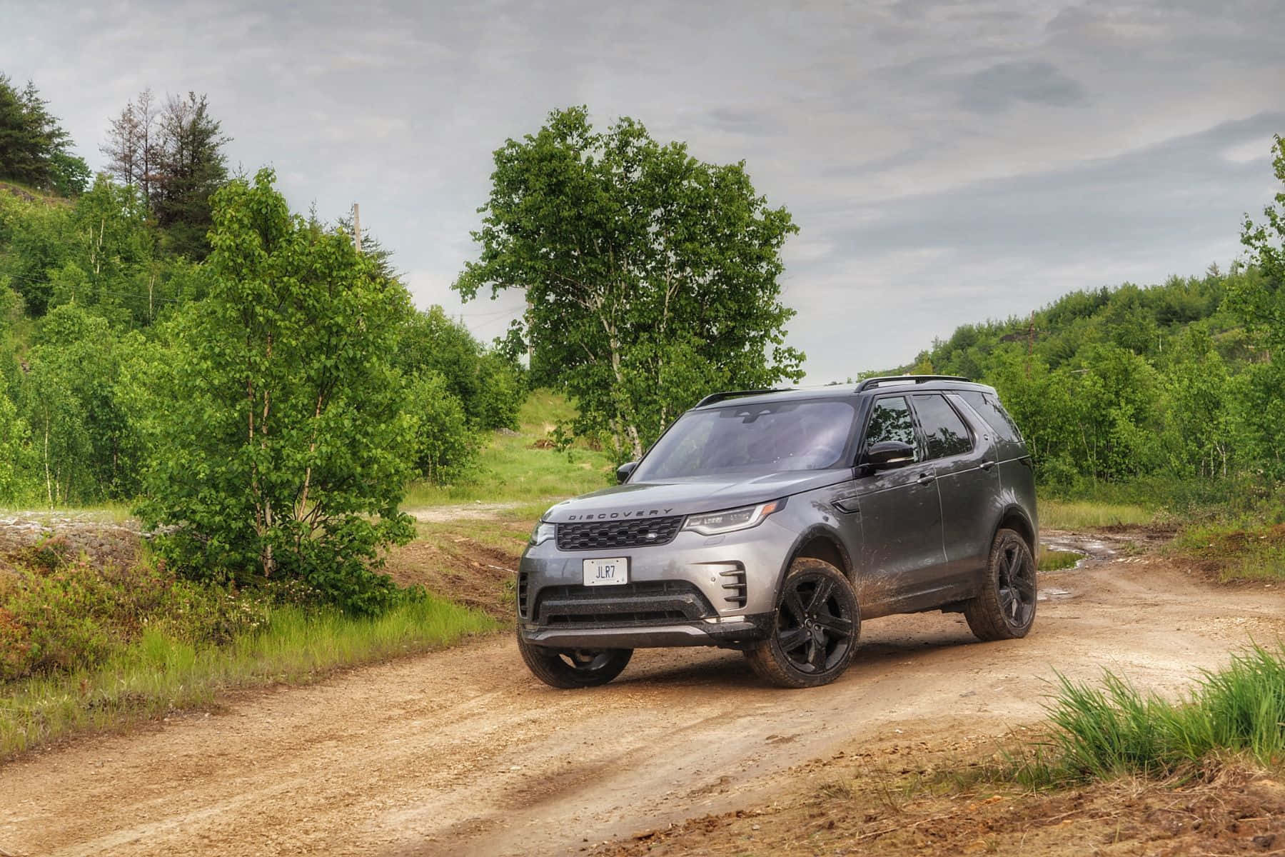 Land Rover Discovery 桌布 壁紙 — 一輛灰色 Land Rover Discovery 在陰天下行駛在泥濘的森林小徑上。