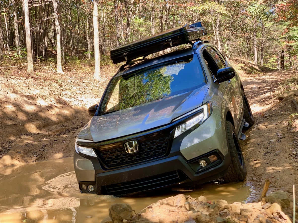 Honda Passport 桌布 壁紙 — 一輛灰色本田SUV配備車頂行李架，在斑駁的陽光下行駛在泥濘的森林小徑上。
