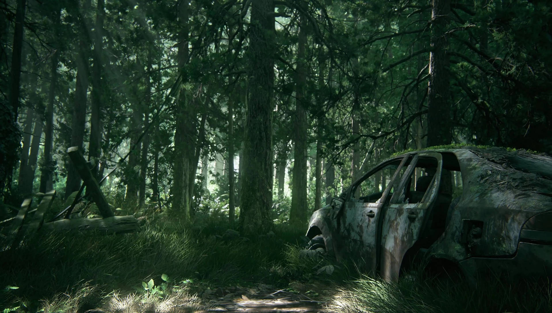 The Last Of US 2 桌布 壁紙 — 一輛生鏽被遺棄的汽車長滿苔蘚，被遺忘在濃密陰暗的森林中，斑駁的陽光穿過高大的樹木灑落。