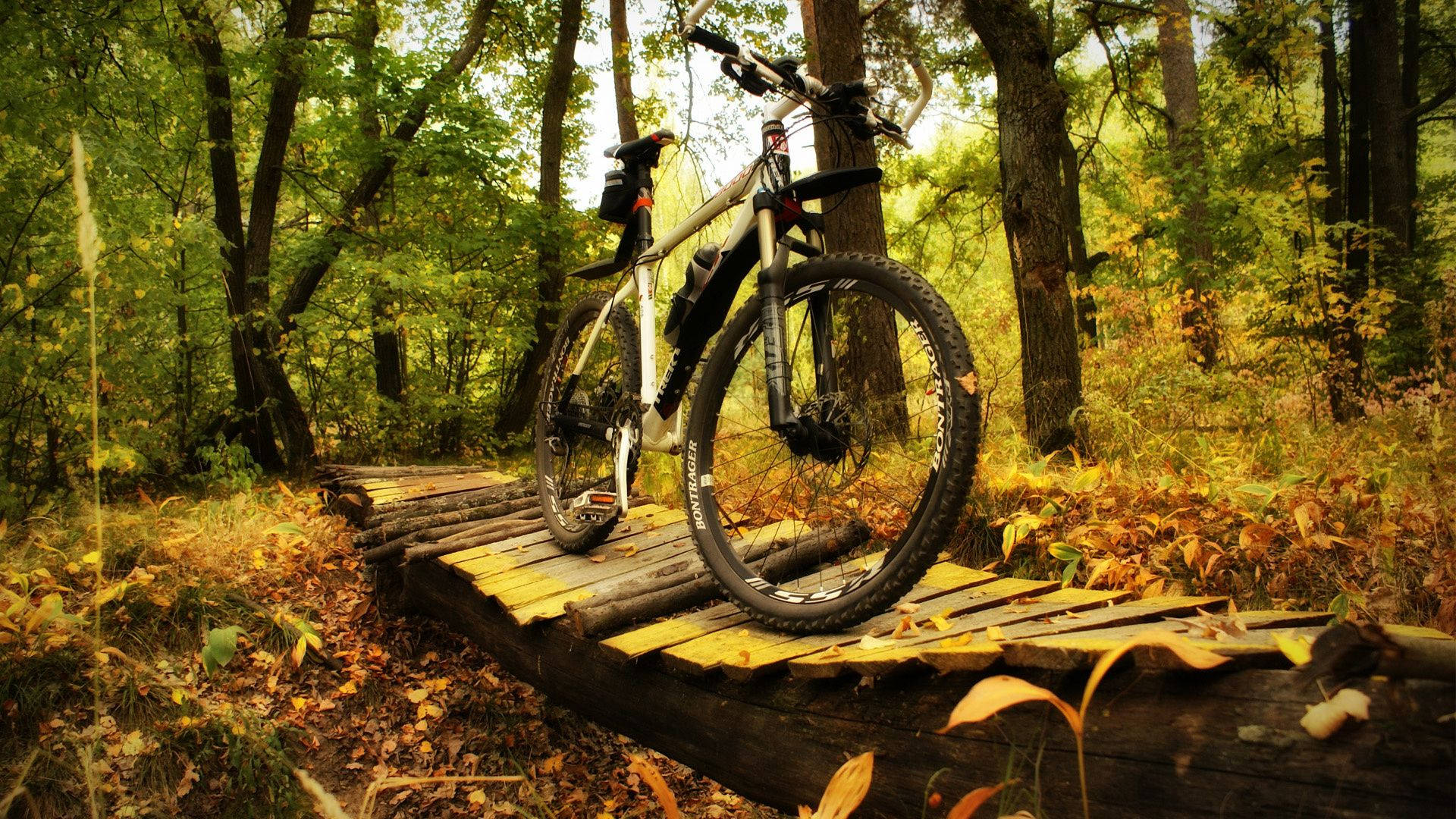 Mtb 桌布 壁紙 — 一輛登山車停放在一條鄉村風格的木橋上，周圍是陽光普照、金黃樹葉的秋日森林。