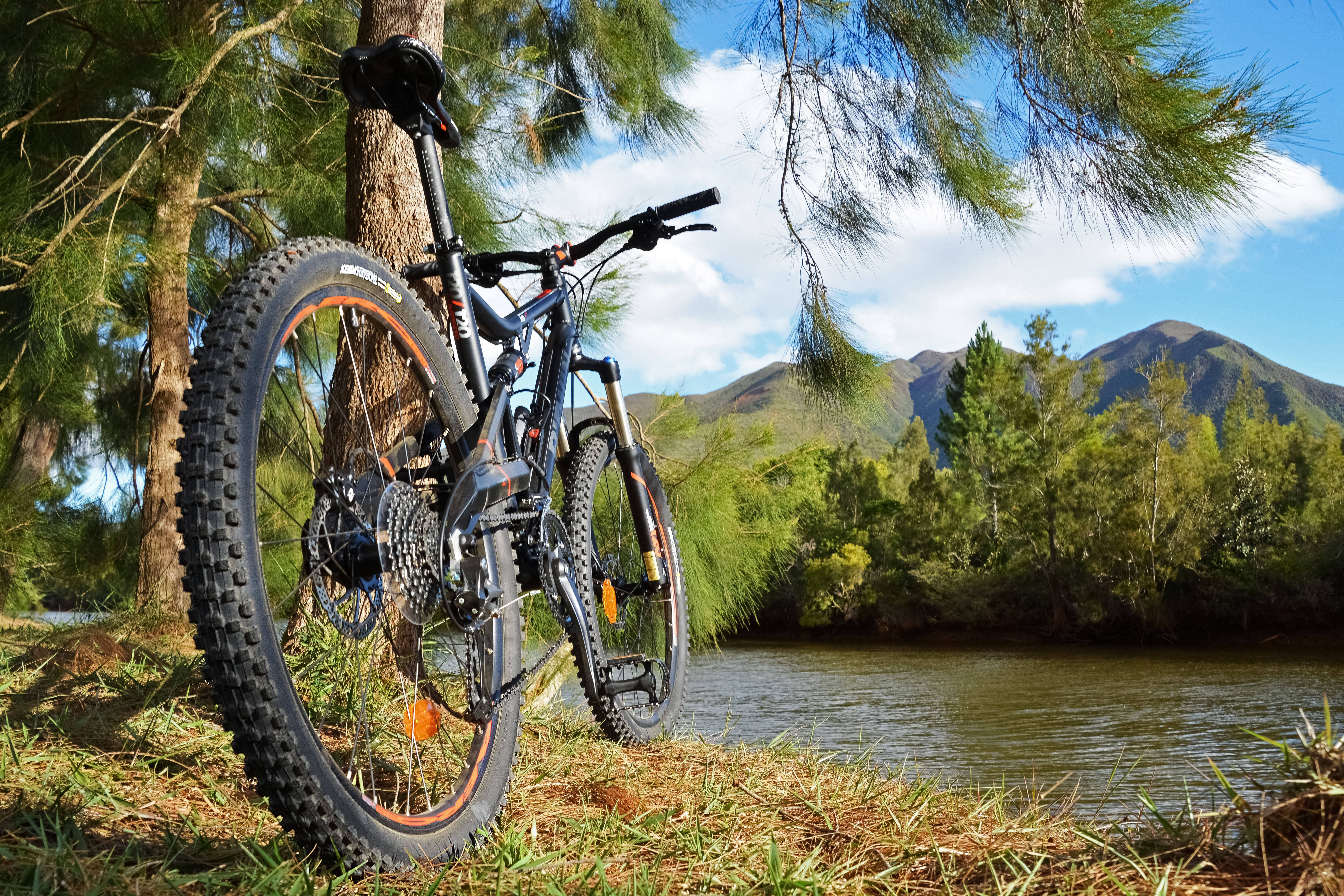 Mountain Bike 桌布 壁紙 — 一輛登山車靠在一棵松樹旁，旁邊有一條河流，遠處有森林覆蓋的山丘和山脈，天空湛藍。