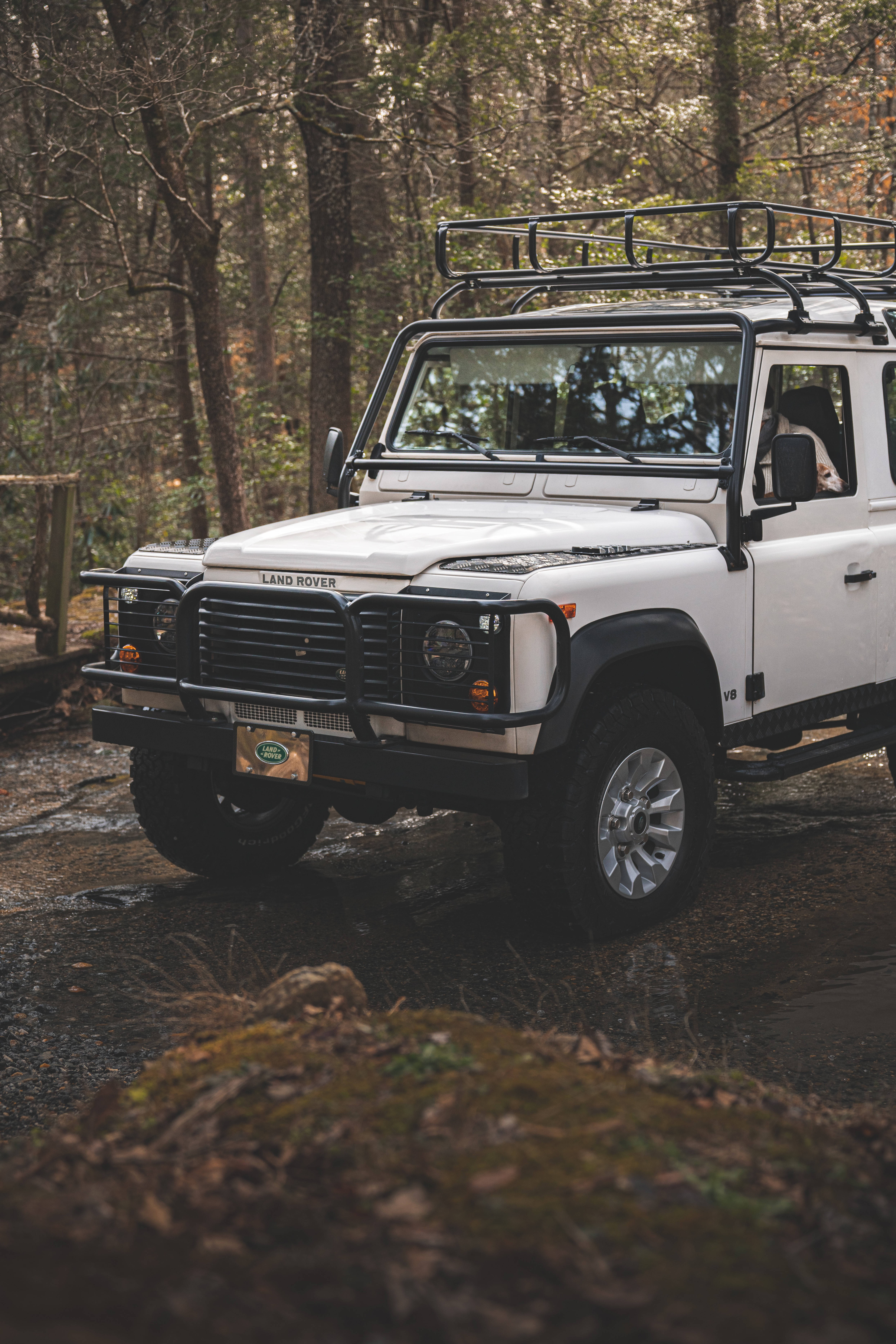 吉普 桌布 壁紙 — 一輛白色 Land Rover Defender 配備車頂架，停泊在長滿苔蘚的森林小徑上，周圍環繞著高大的樹木。