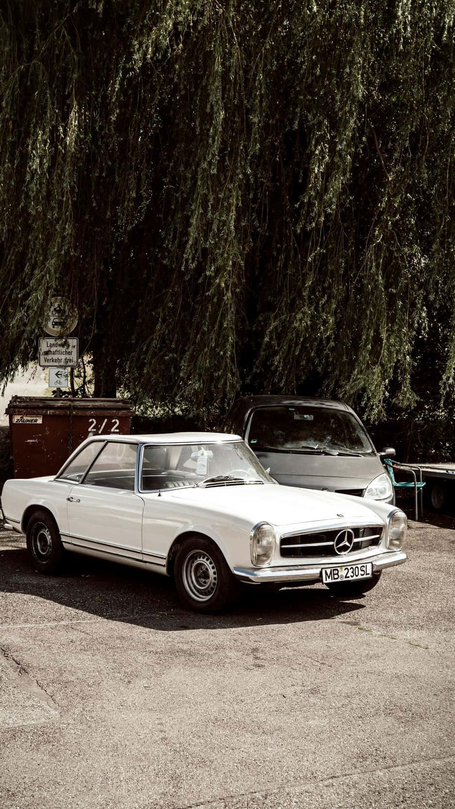 Mercedes 桌布 壁紙 — 一輛白色 vintage Mercedes-Benz SL 停泊在茂密垂柳下的陽光瀝青場地上。