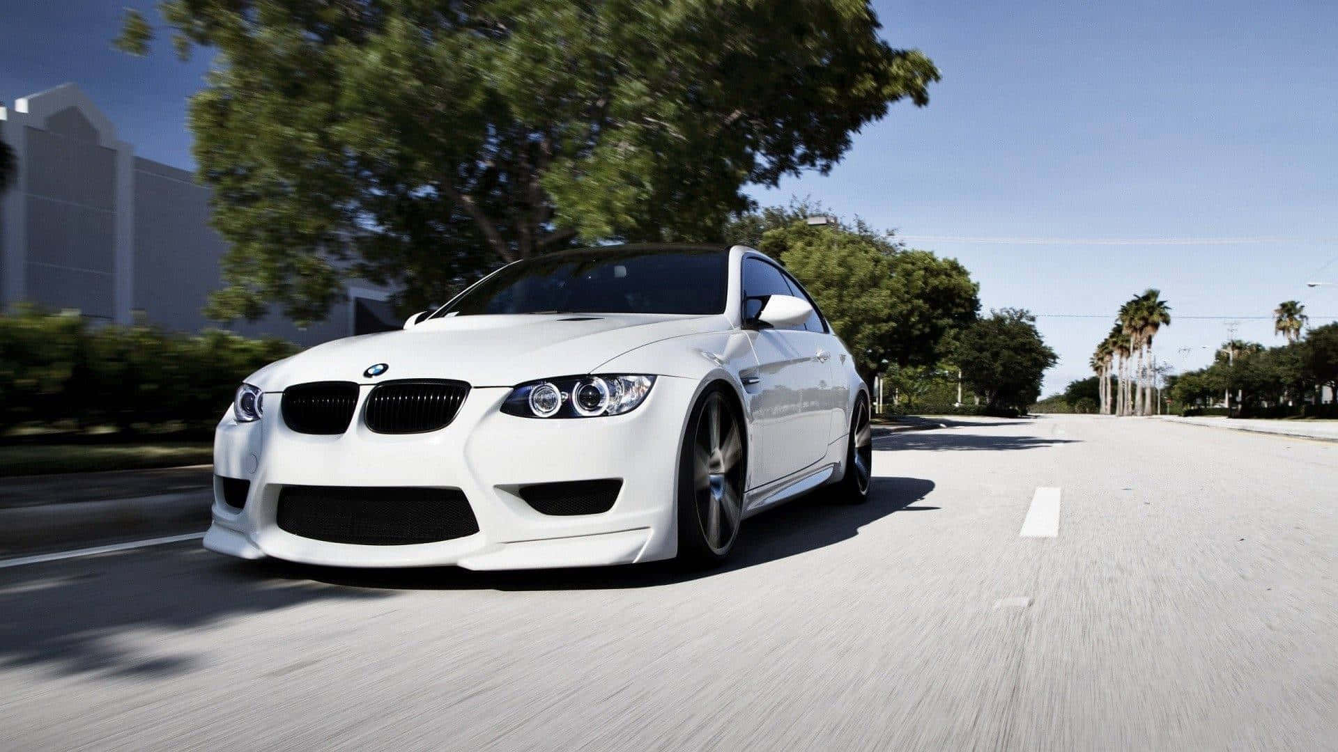豪華車 桌布 壁紙 — 一輛白色BMW M3跑車在陽光明媚、綠樹成蔭的道路上奔馳，動態模糊傳達出速度與力量。