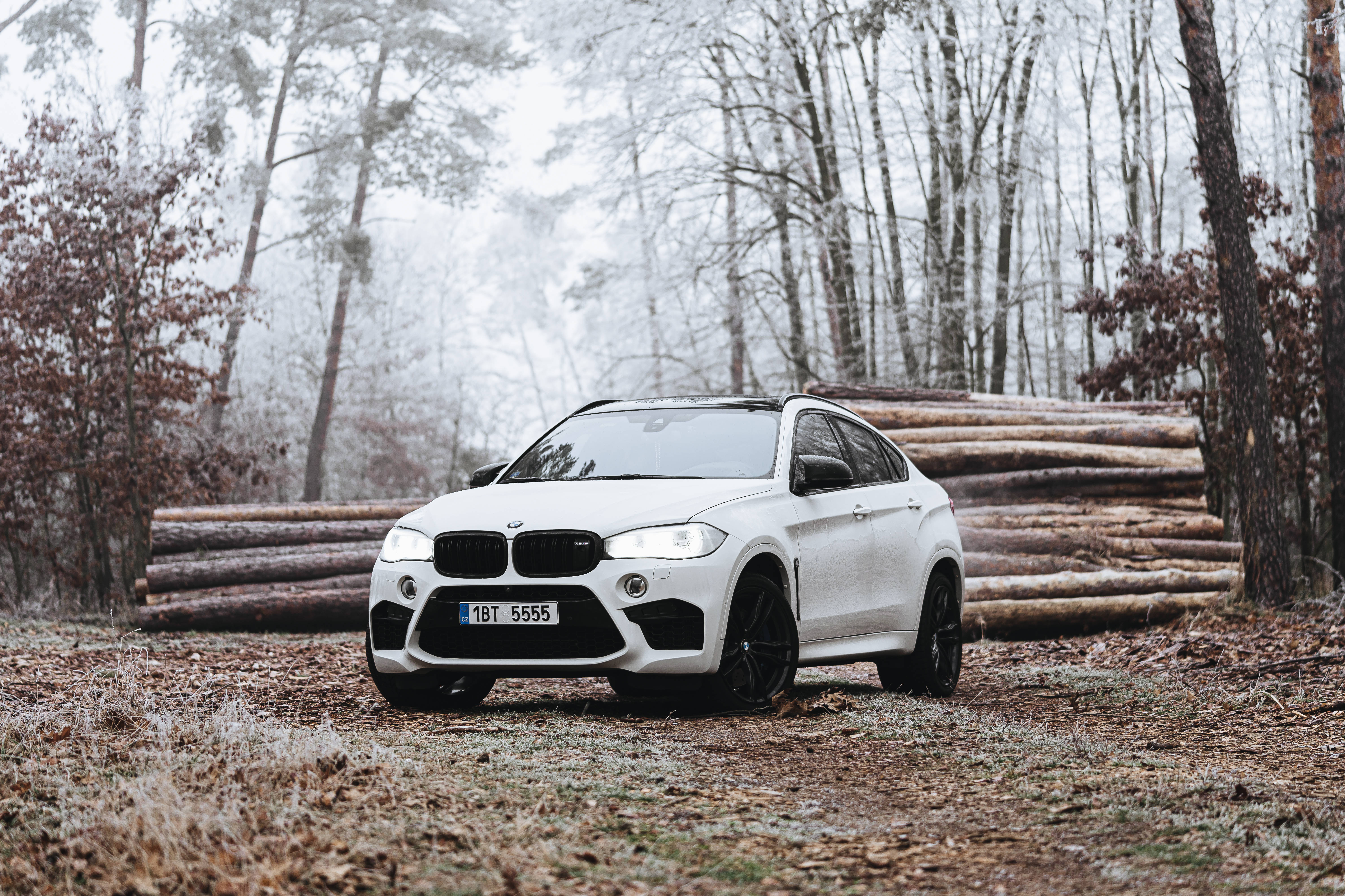 m 桌布 壁紙 — 一輛白色BMW X6 M在霧氣瀰漫的冬日天空下，停放在結霜的森林小徑旁，旁邊堆疊著圓木。