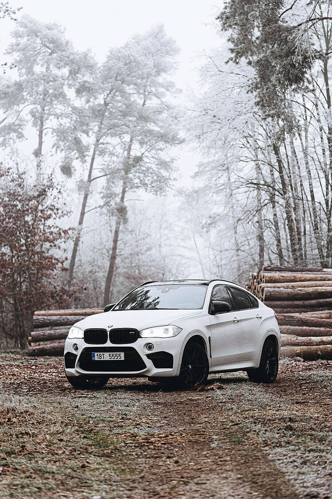 m 桌布 壁紙 — 一輛白色BMW X6 SUV停放在結霜的森林小徑旁，旁邊有堆疊的木頭，背景是霧濛濛的冬日天空。
