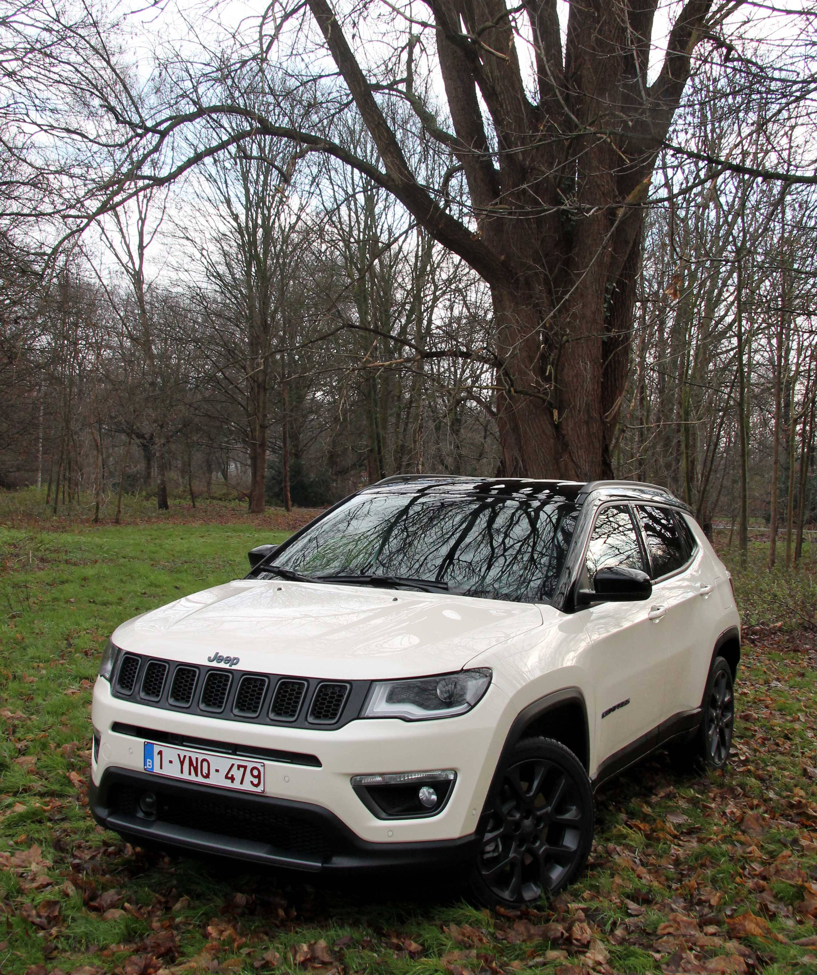 樹木 桌布 壁紙 — 一輛白色Jeep Compass停泊在寧靜森林中光禿樹下的草地上，地上有落葉。
