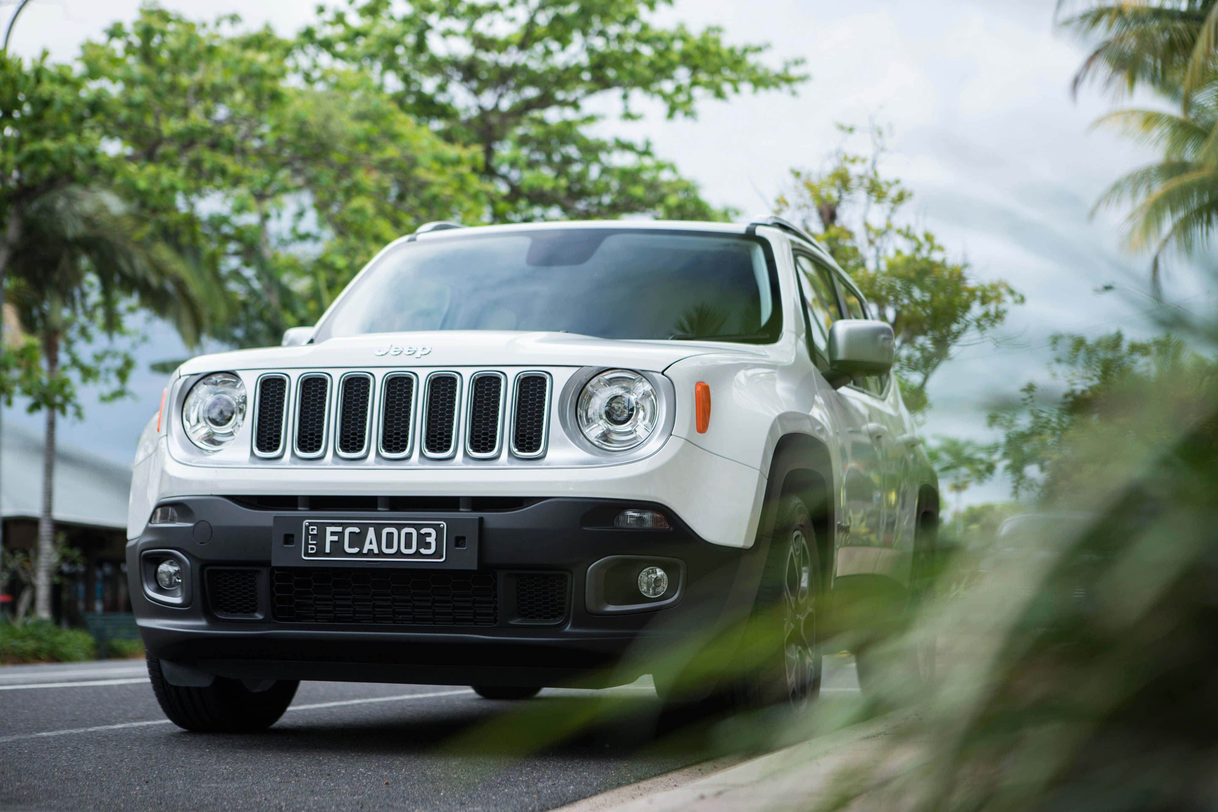 Jeep Renegade 桌布 壁紙 — 一輛白色Jeep Renegade在綠葉模糊的前景襯托下行駛在林蔭大道上。