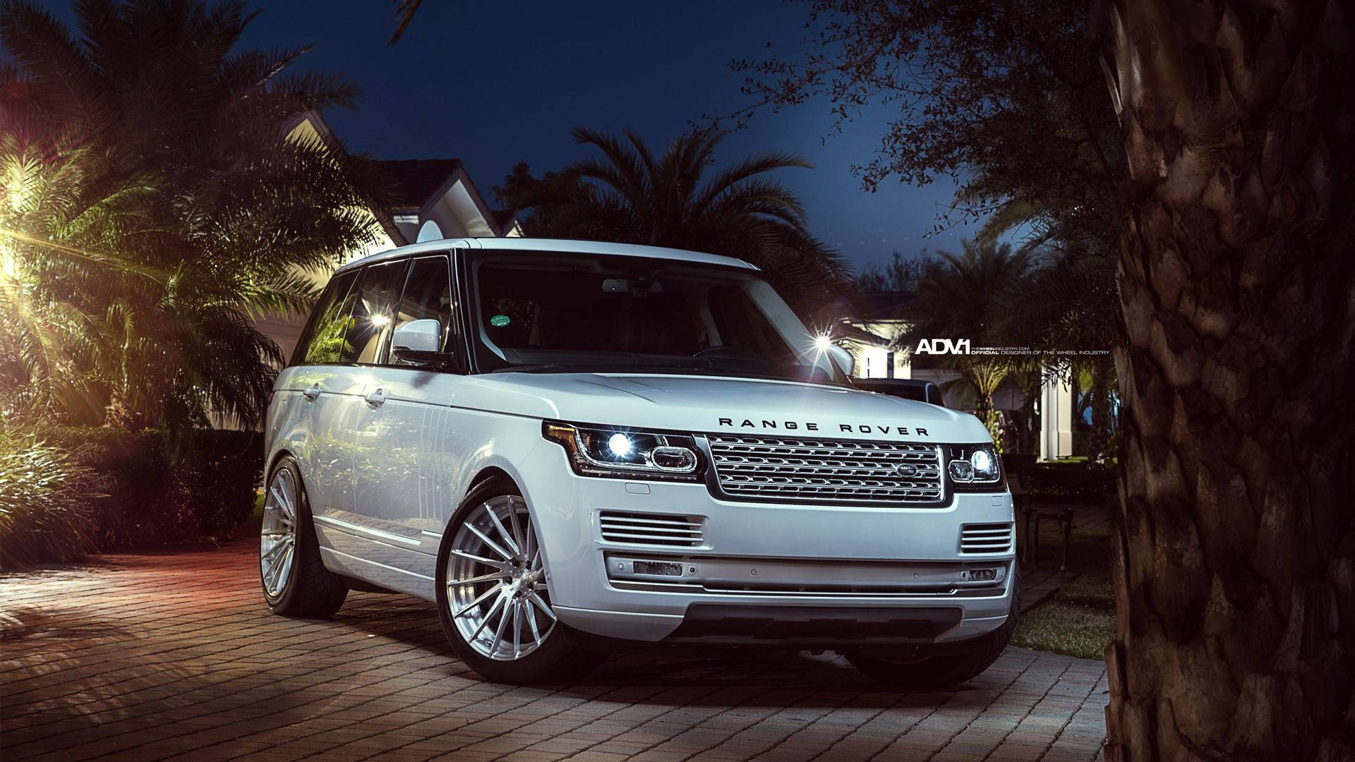荒原路華 桌布 壁紙 — 一輛白色Range Rover SUV在夜燈下閃閃發光，停在棕櫚樹旁的磚砌車道上。
